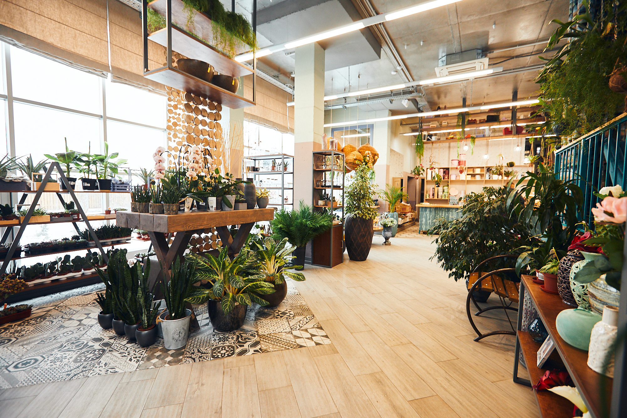 Студия флористики «Зелень». Бизнес портрет Аэросъемка Интерьерная съемка Тюмень