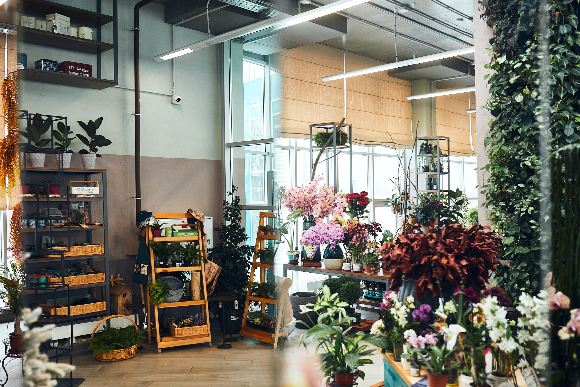 Студия флористики «Зелень». Бизнес портрет Аэросъемка Интерьерная съемка Тюмень