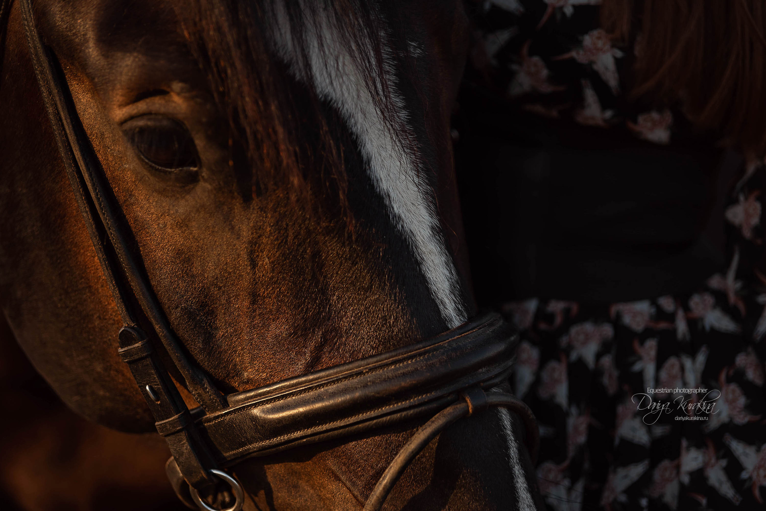 Юля и Корсар. Конный фотограф Куракина Дарья • Фотосессии с лошадьми