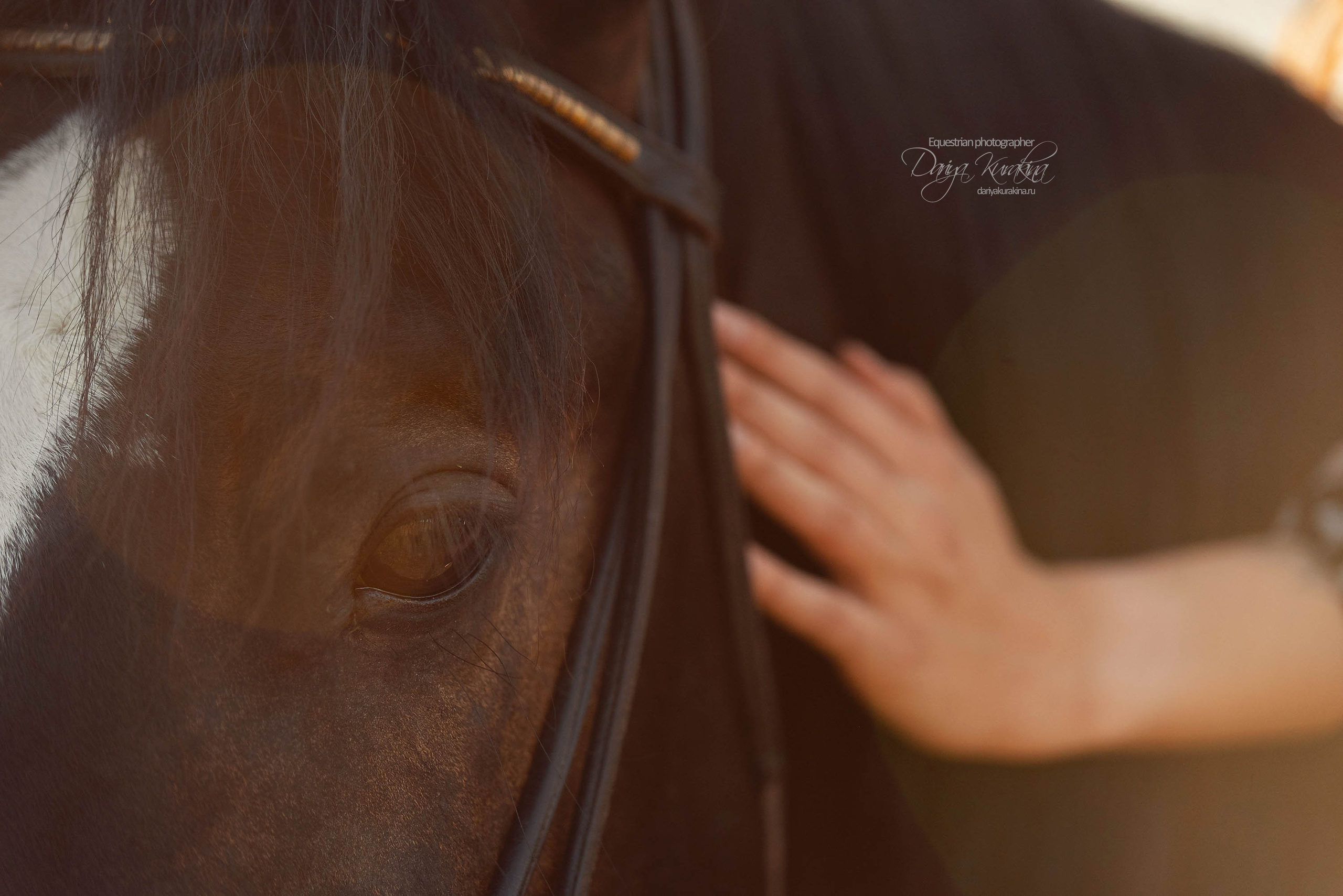 Юля и Корсар. Конный фотограф Куракина Дарья • Фотосессии с лошадьми