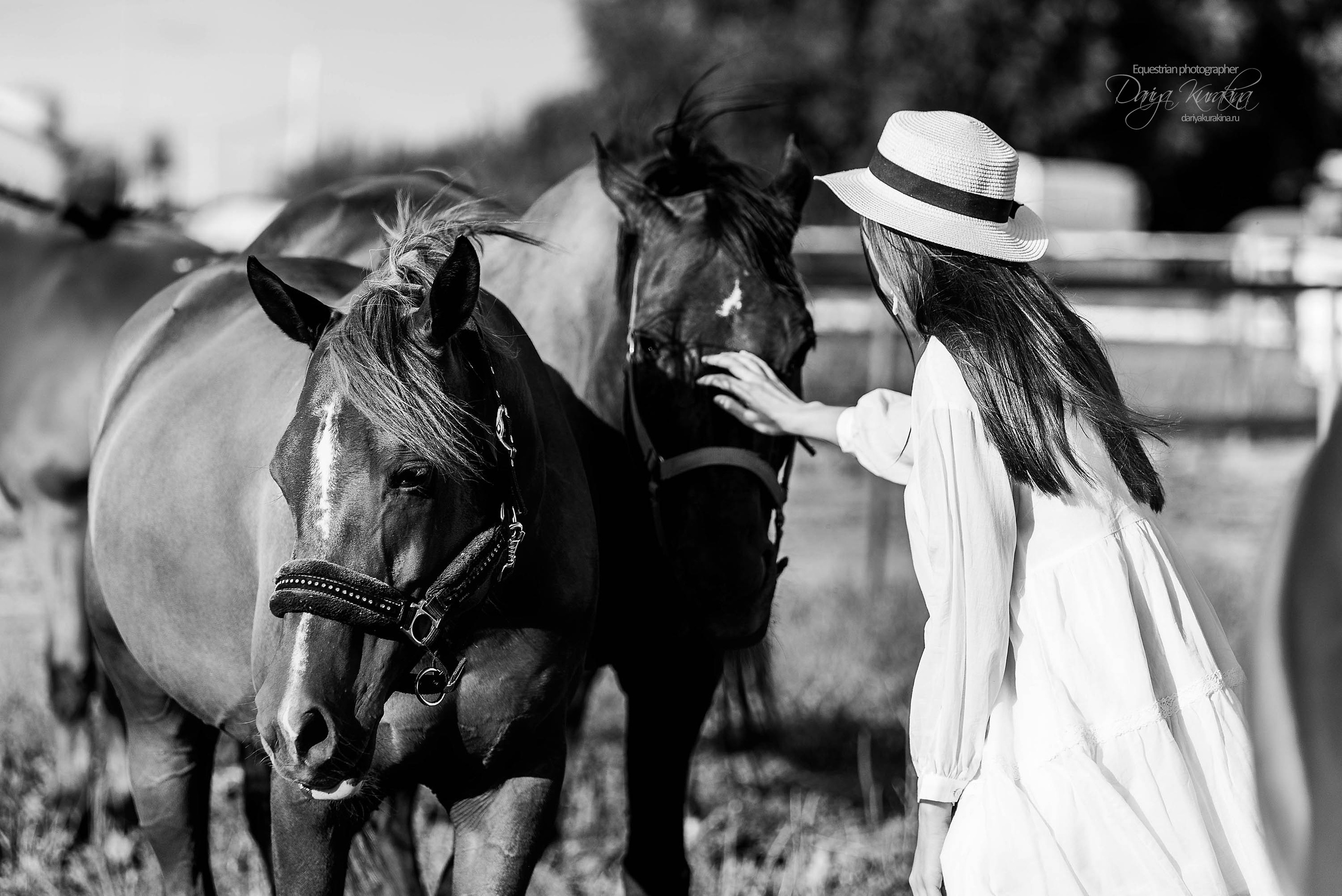 Юля и Корсар. Конный фотограф Куракина Дарья • Фотосессии с лошадьми