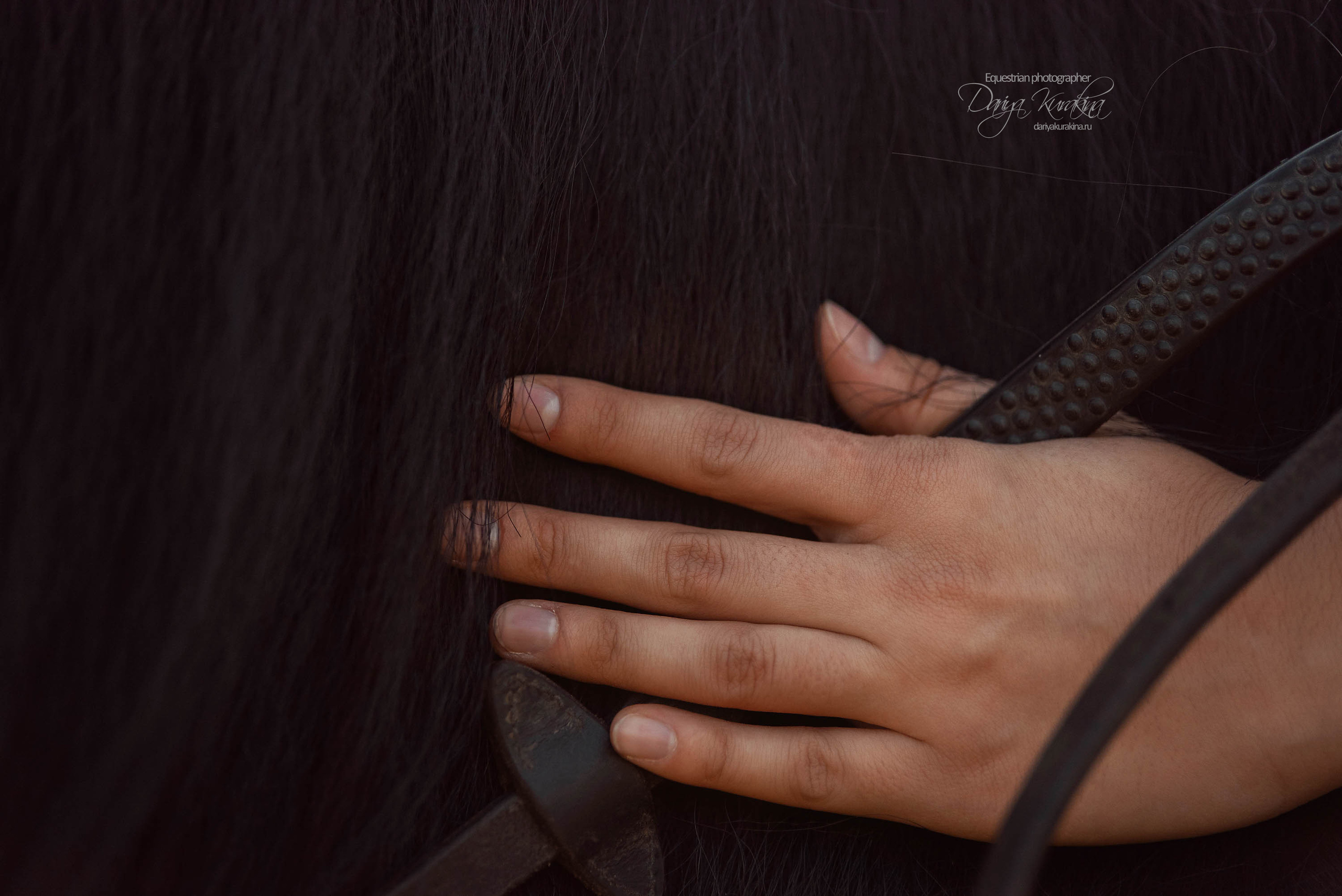 Юля и Корсар. Конный фотограф Куракина Дарья • Фотосессии с лошадьми