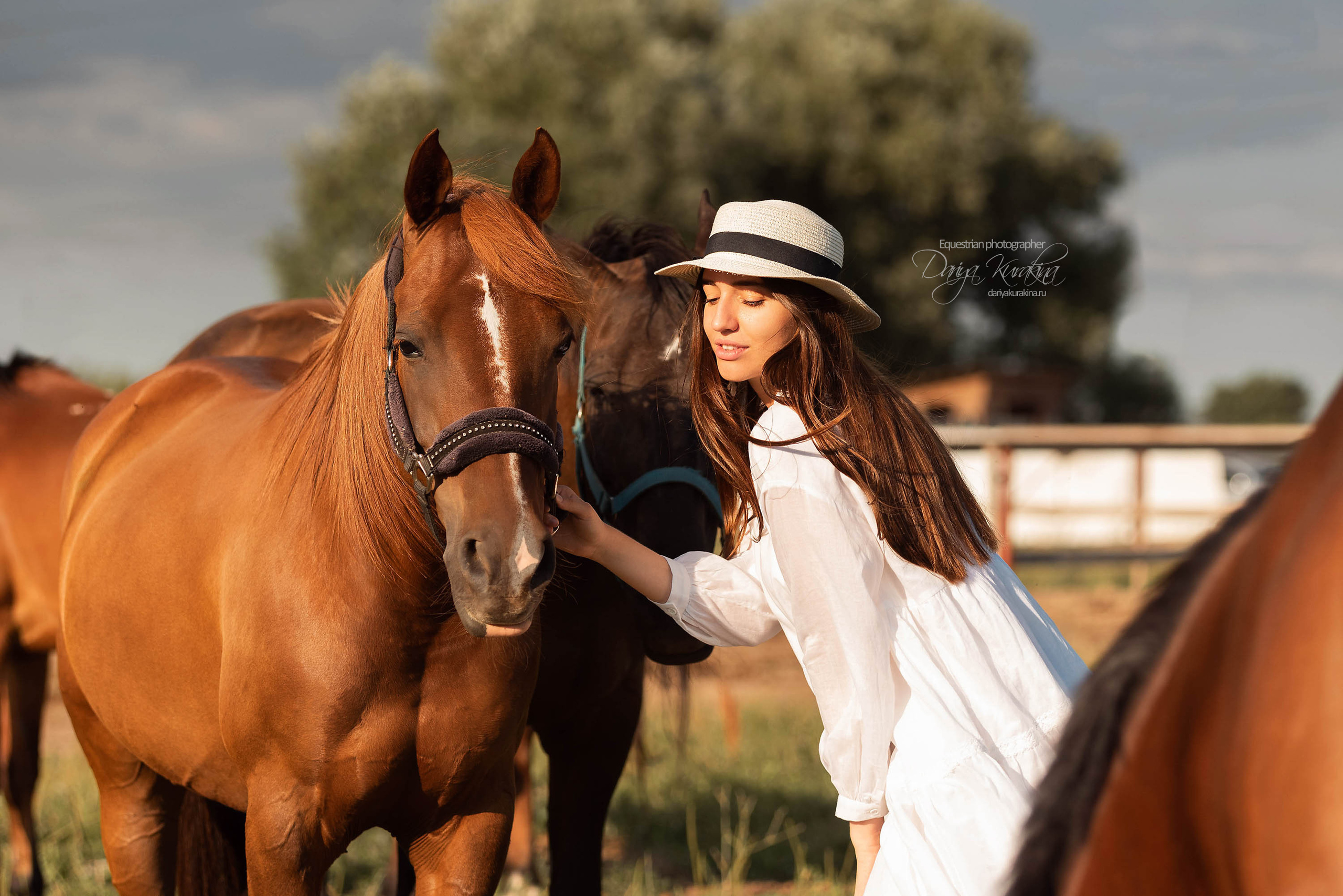 Юля и Корсар. Конный фотограф Куракина Дарья • Фотосессии с лошадьми