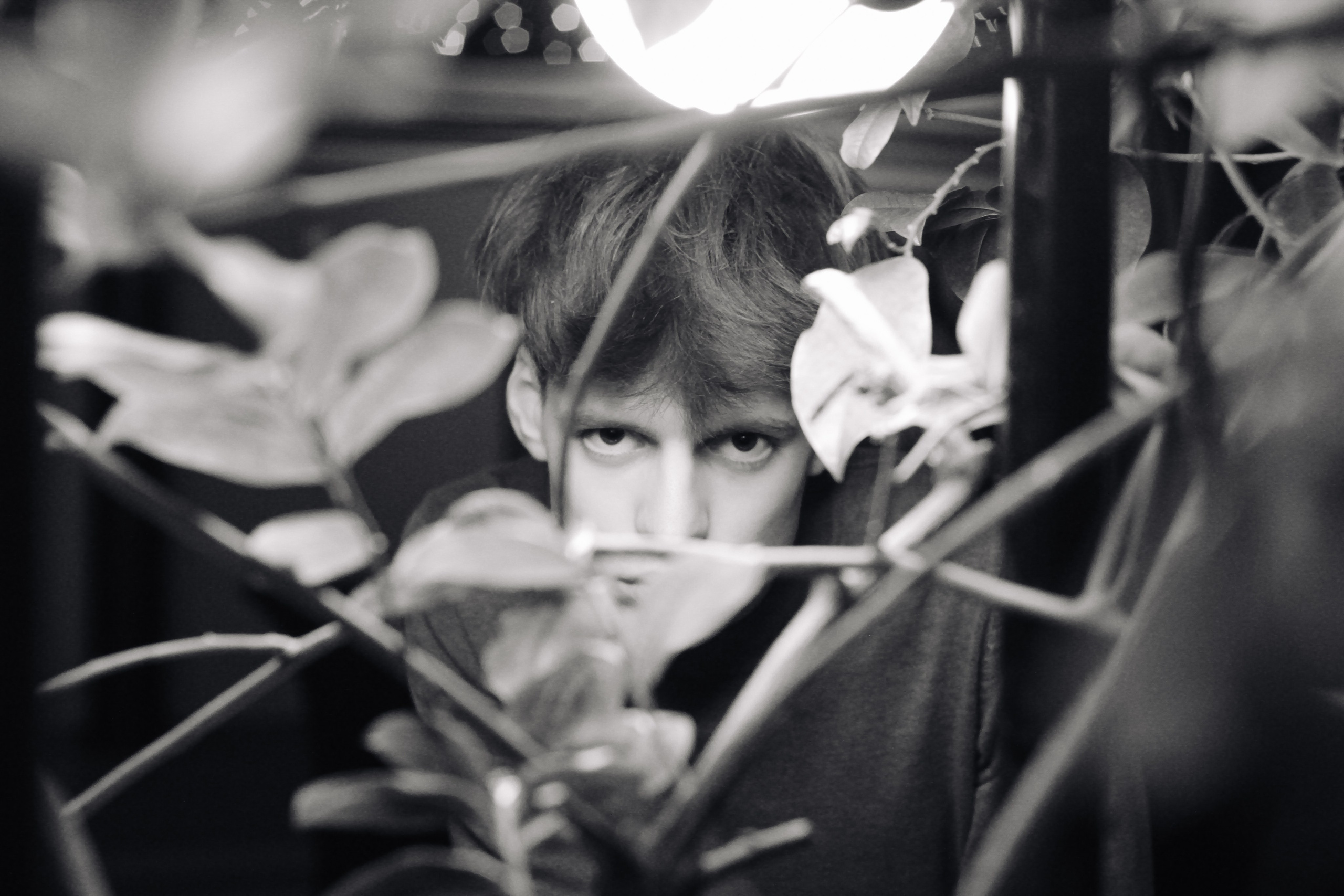 Лев. Портретный фотограф DanilNabody