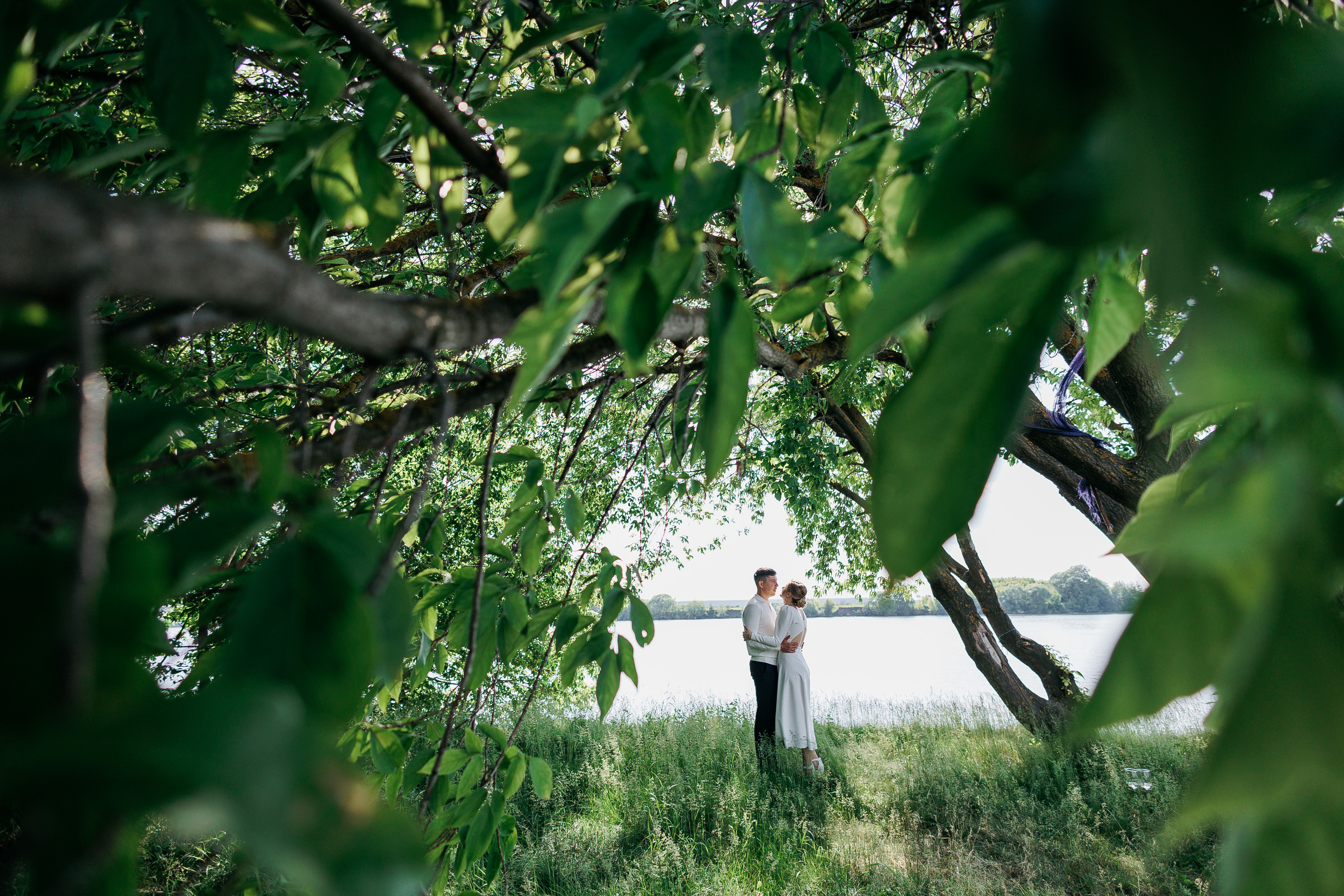 Алена и Артем. Свадебный и семейный фотограф Раменское Жуковский  Александр Зимин