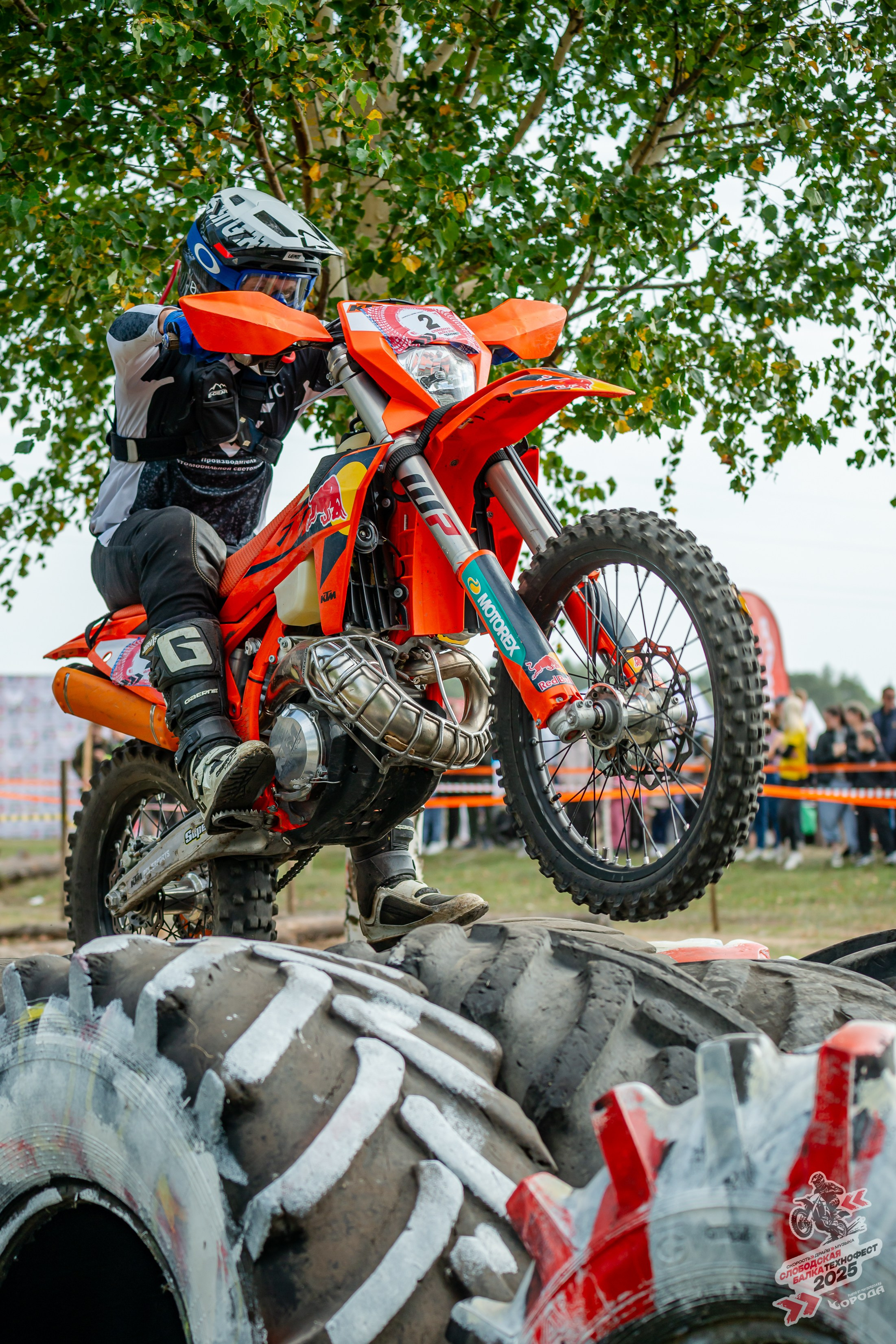 Слободская балка 2025. Фотограф | Макс Борода