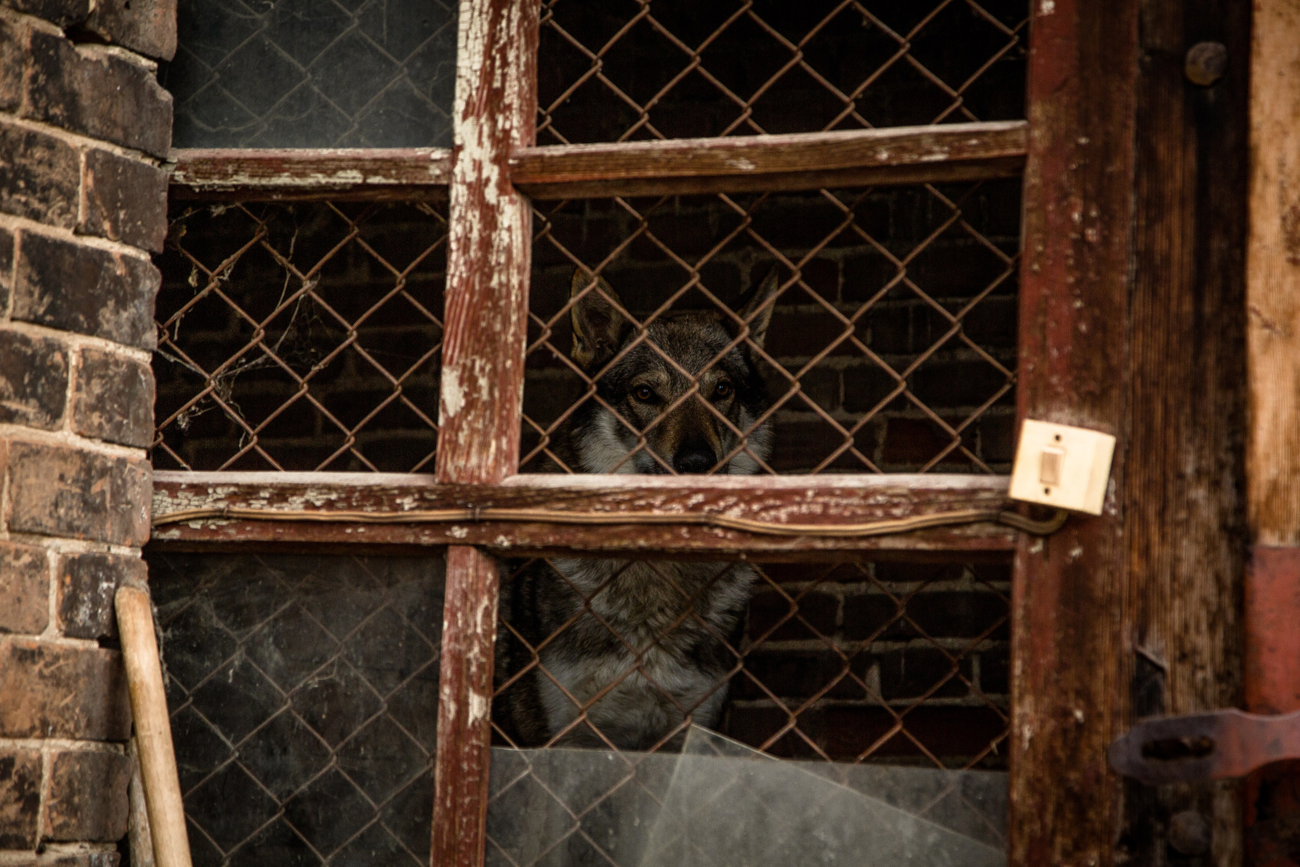 Старый Оренбург. Ваш фотограф в Оренбурге Рощупкина Екатерина