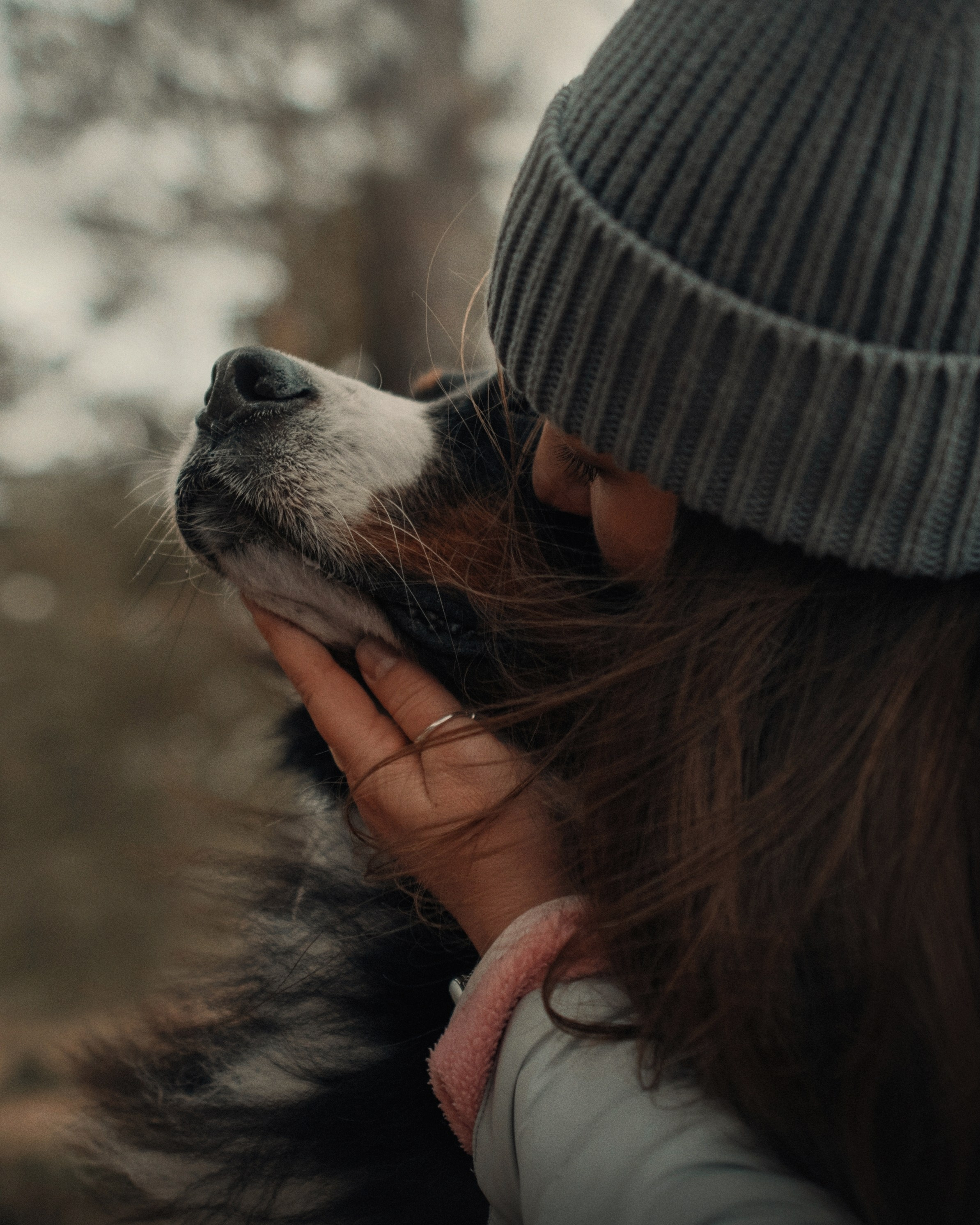 Прогулка: берн Пума, Фрэнк и Юля в Питере. Портфолио