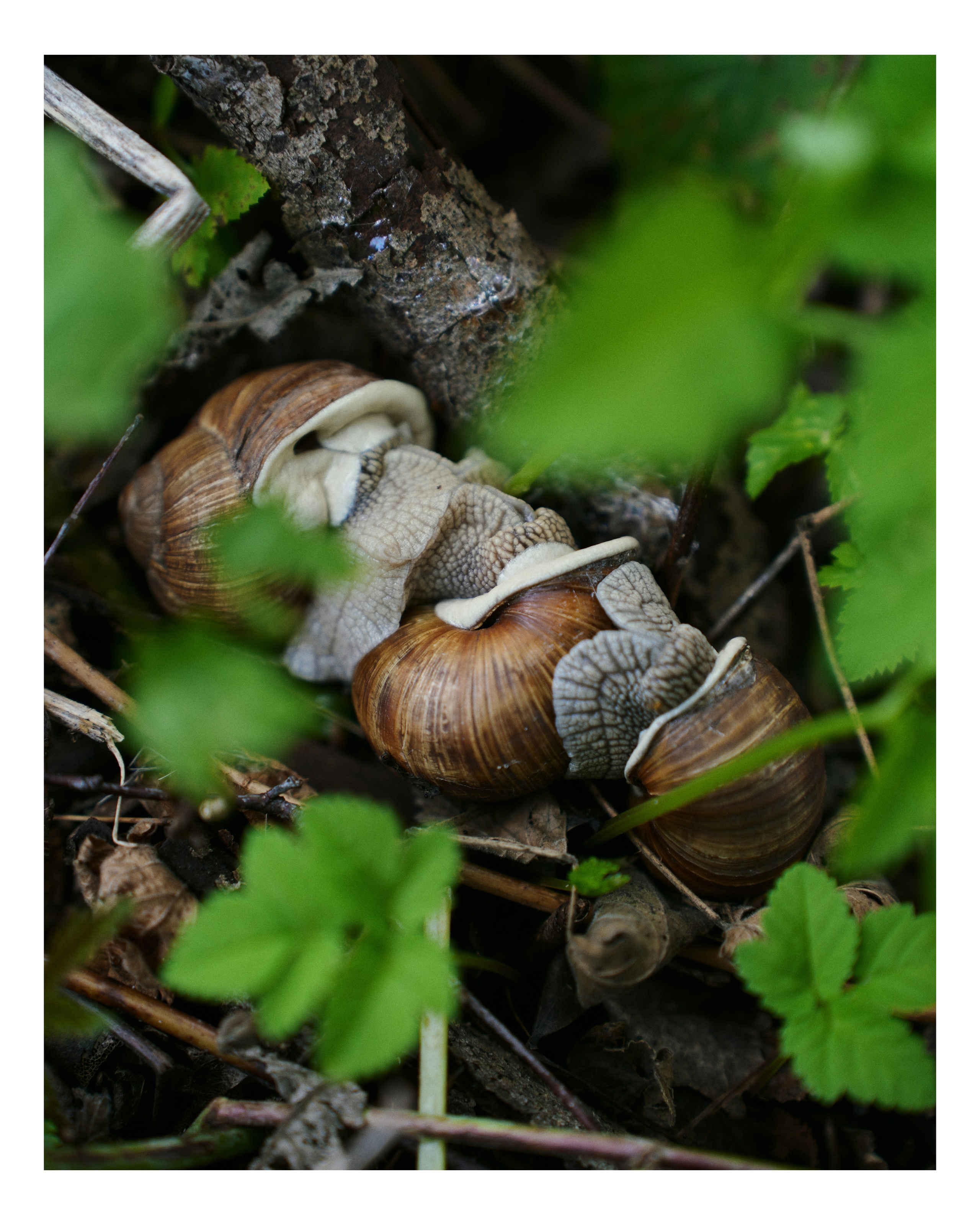 PODMOKLOVO. ANNA — PHOTOGRAPHER