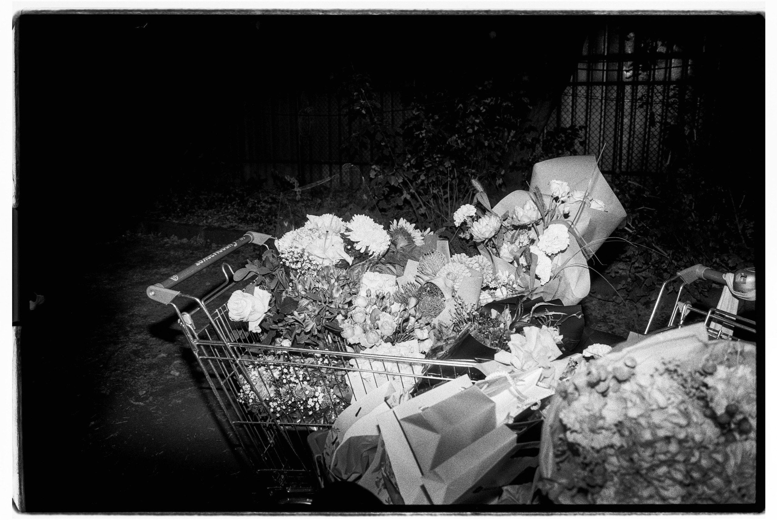 Plasticine. ANNA — PHOTOGRAPHER