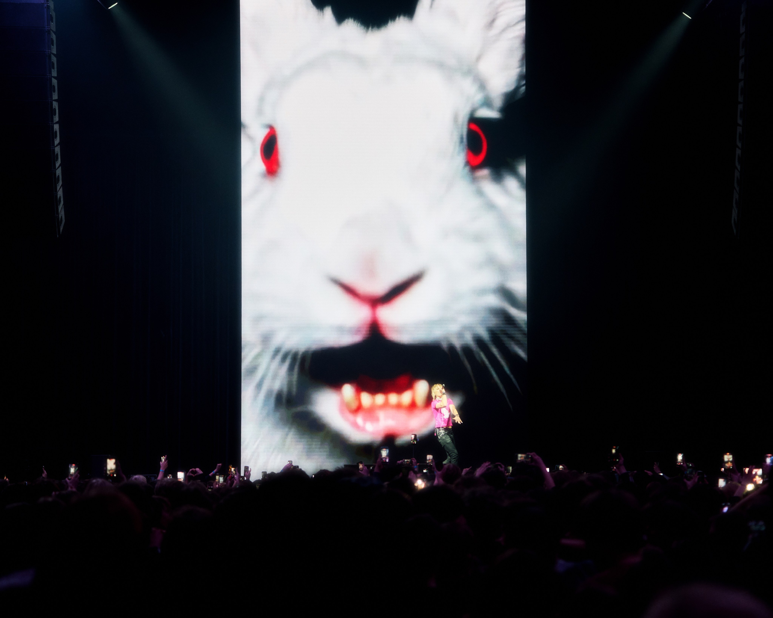 CONCERT. ANNA — PHOTOGRAPHER