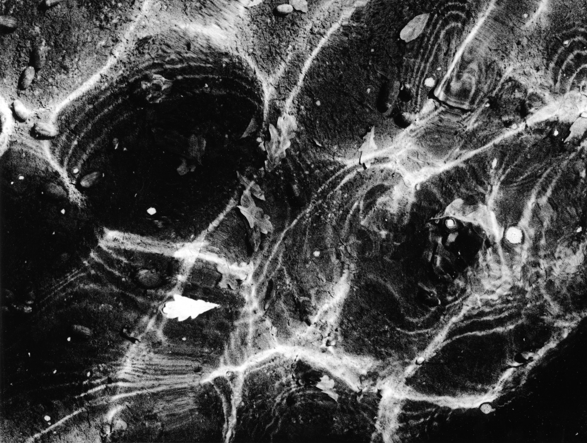 Separation project. Philipp Yelistratov