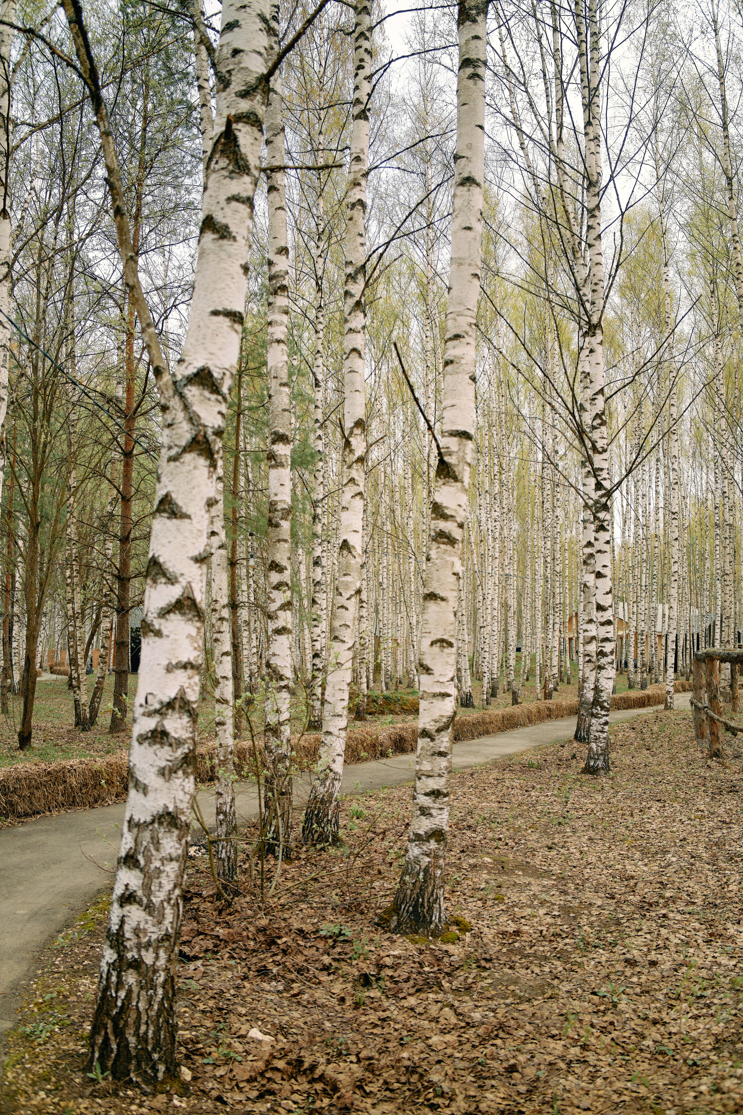 Бутик-отель Поле летом. Профессиональный Фотограф во Владимире, в Москве и в Суздале — Полина Романычева