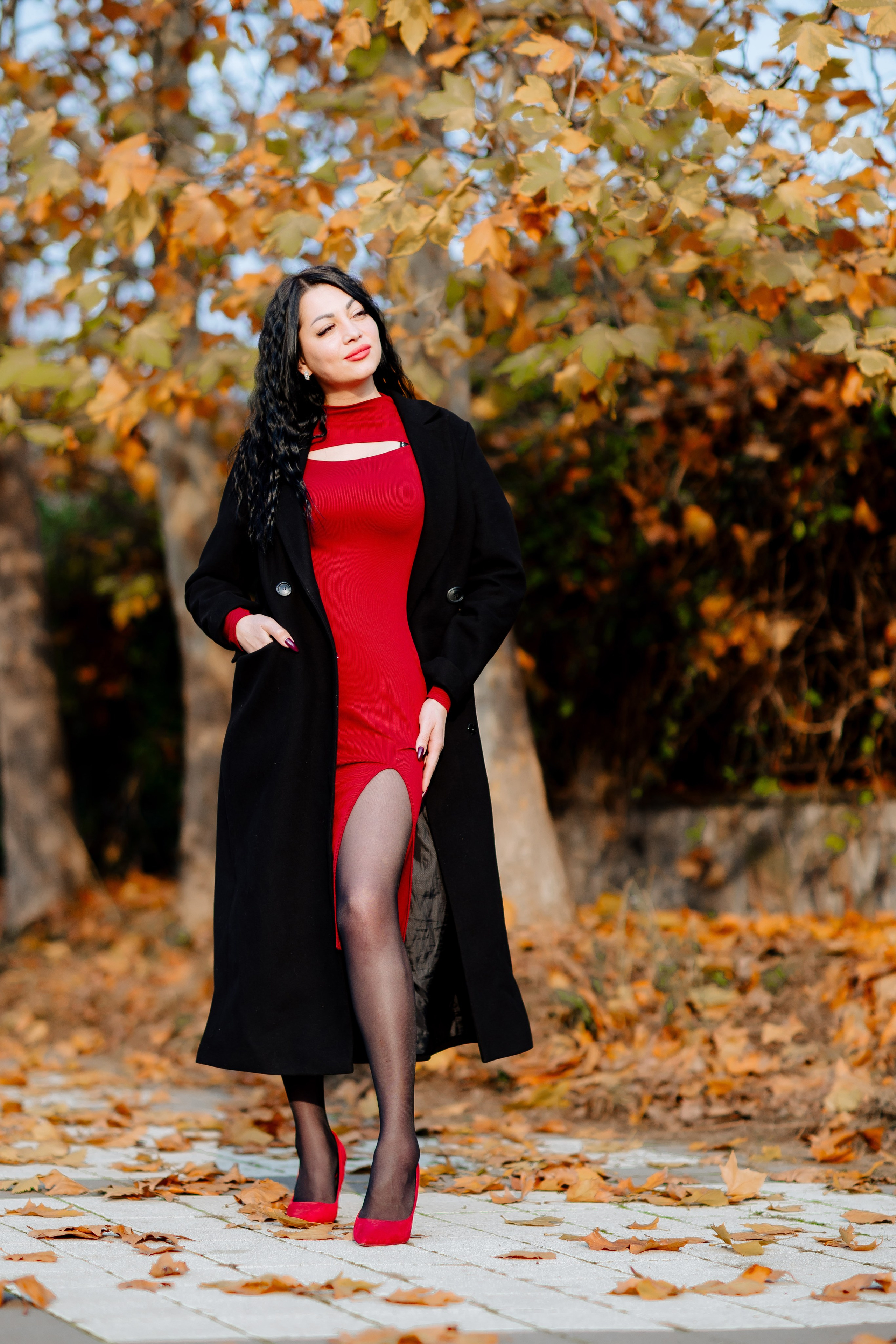 Осень. Профессиональный фотограф и видеооператор