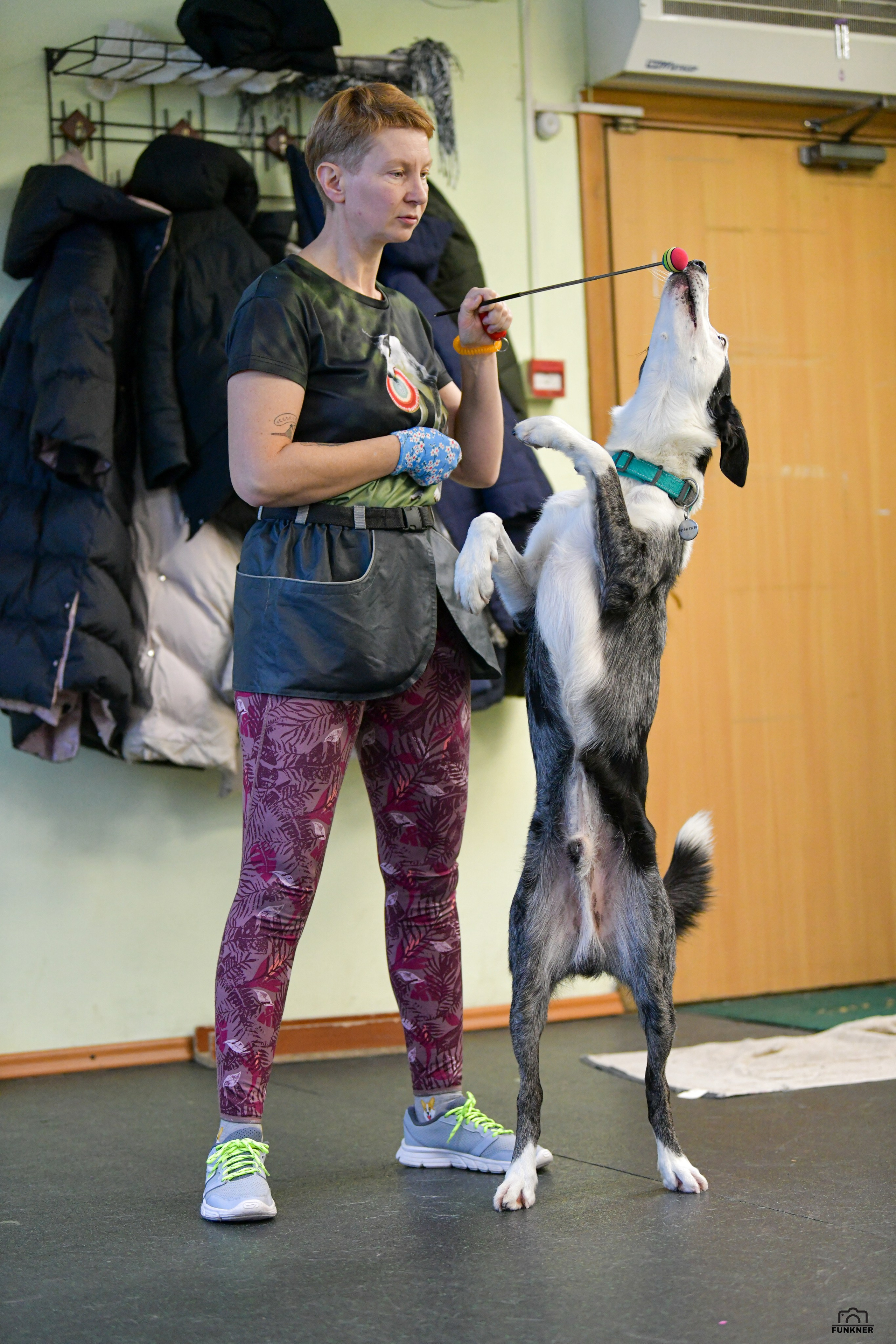 Кинологический клуб «Бодрый хвост». Свой взгляд через объектив