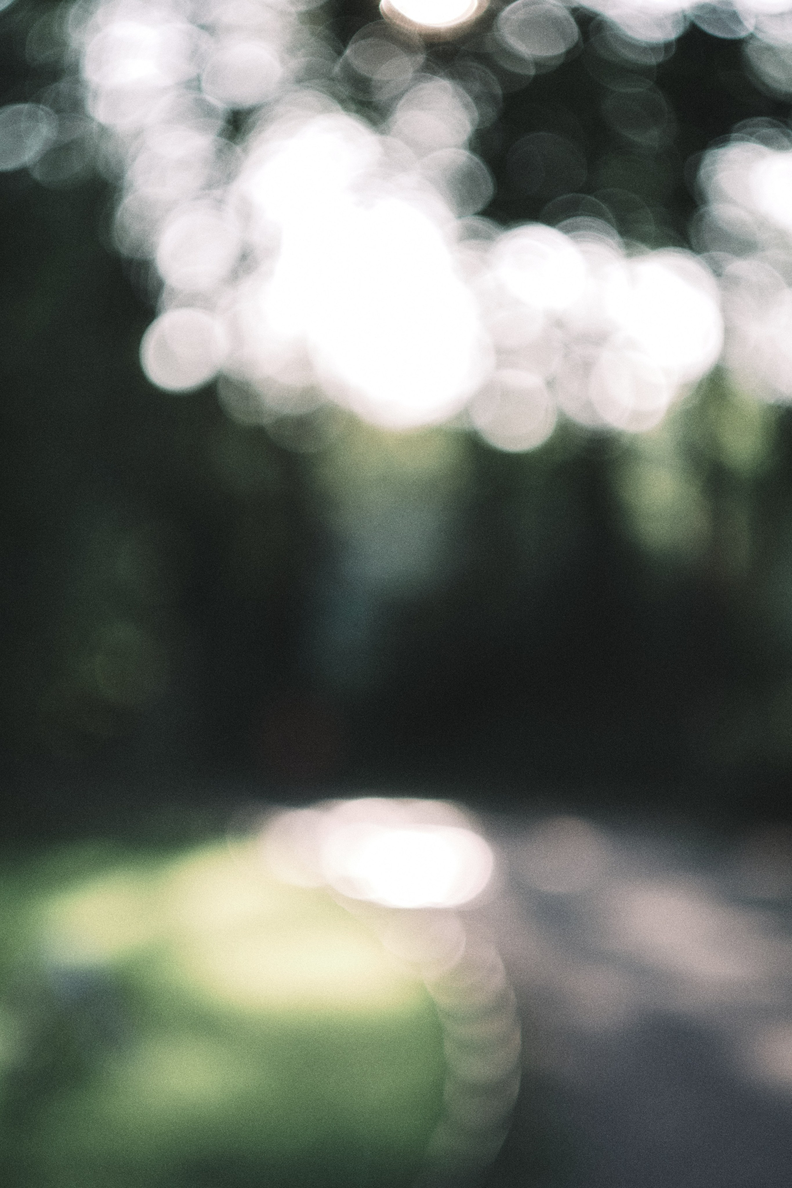 Елагин Остров. Фотограф Санкт-Петербург