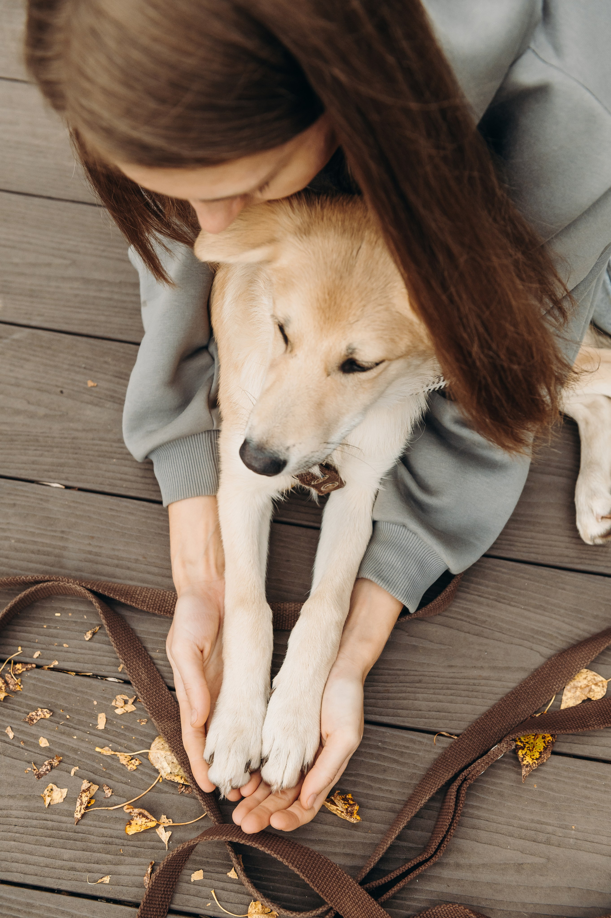 Анималистика. Главная