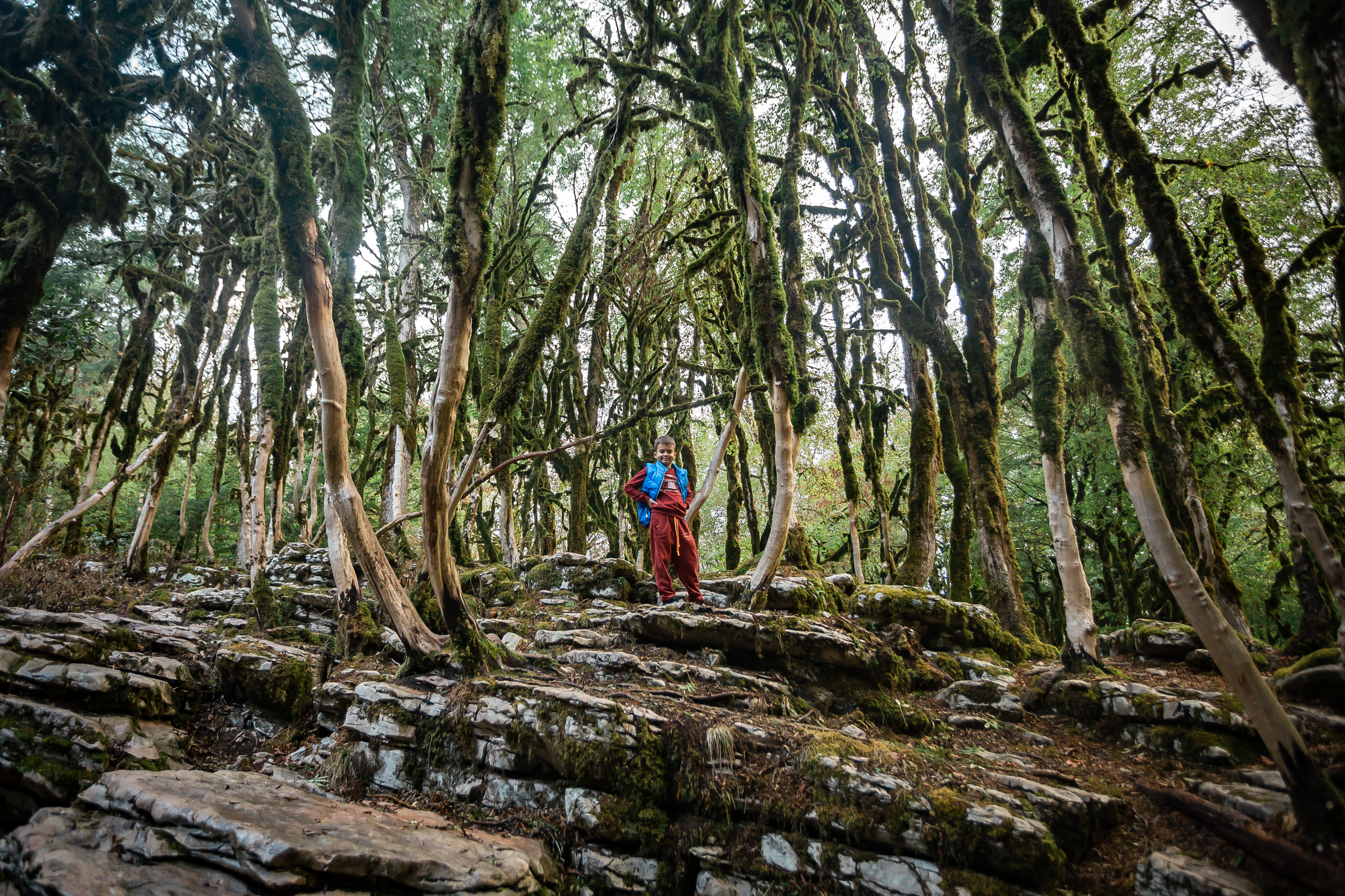 Джиппинг с Senseoflife.club. Фотографиня Мария Дикова