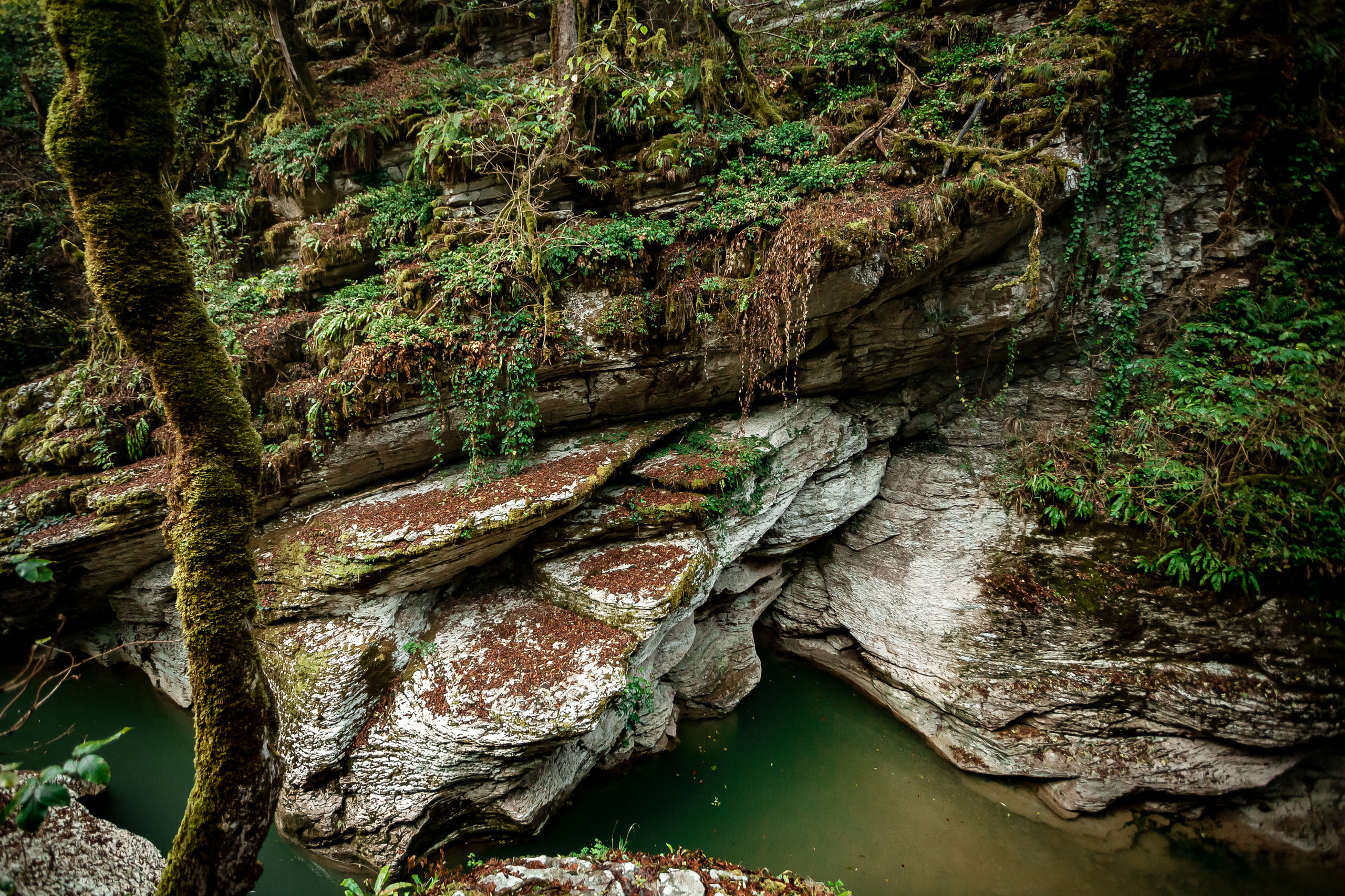 Джиппинг с Senseoflife.club. Фотографиня Мария Дикова