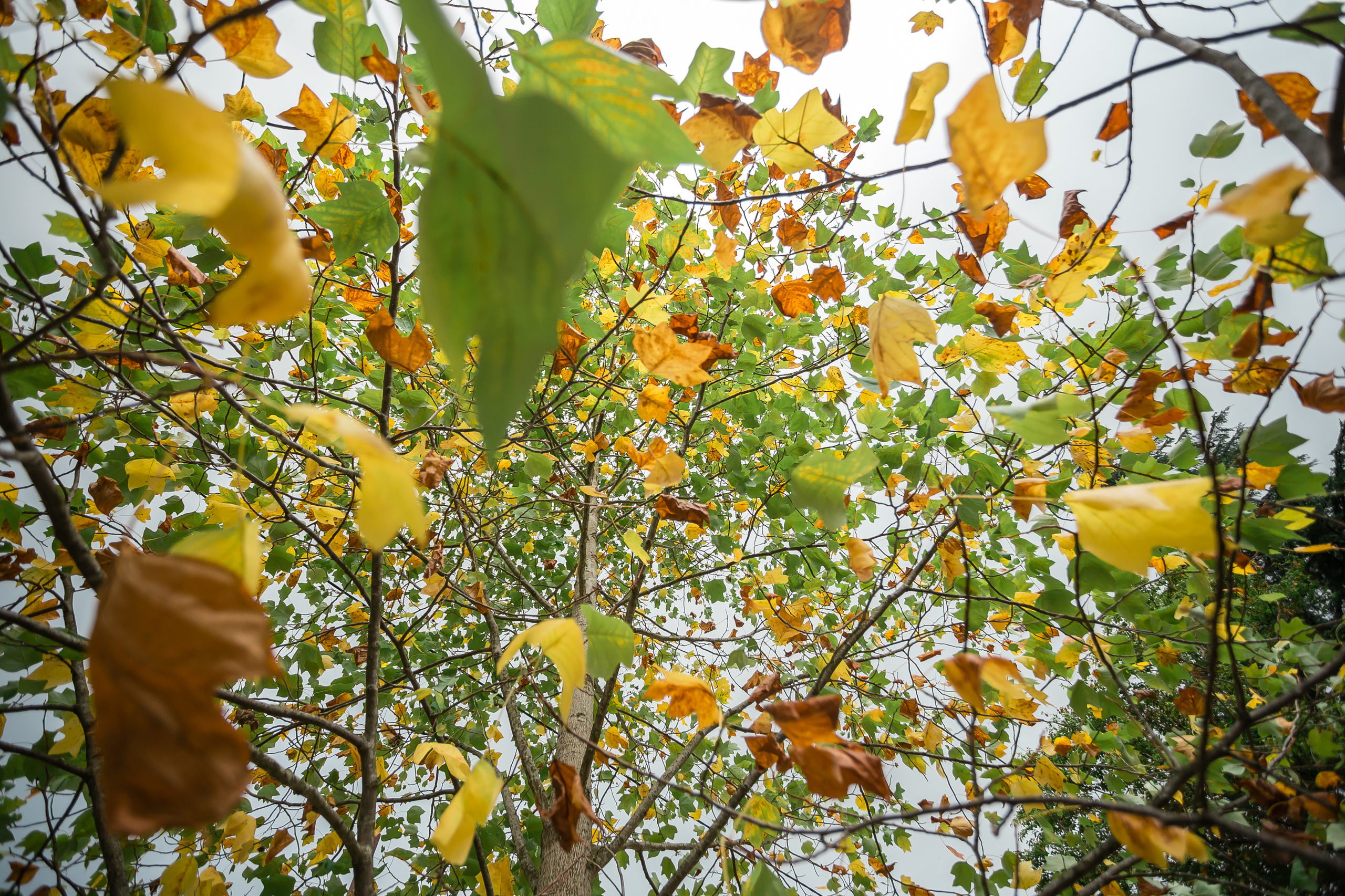 Джиппинг с Senseoflife.club. Фотографиня Мария Дикова