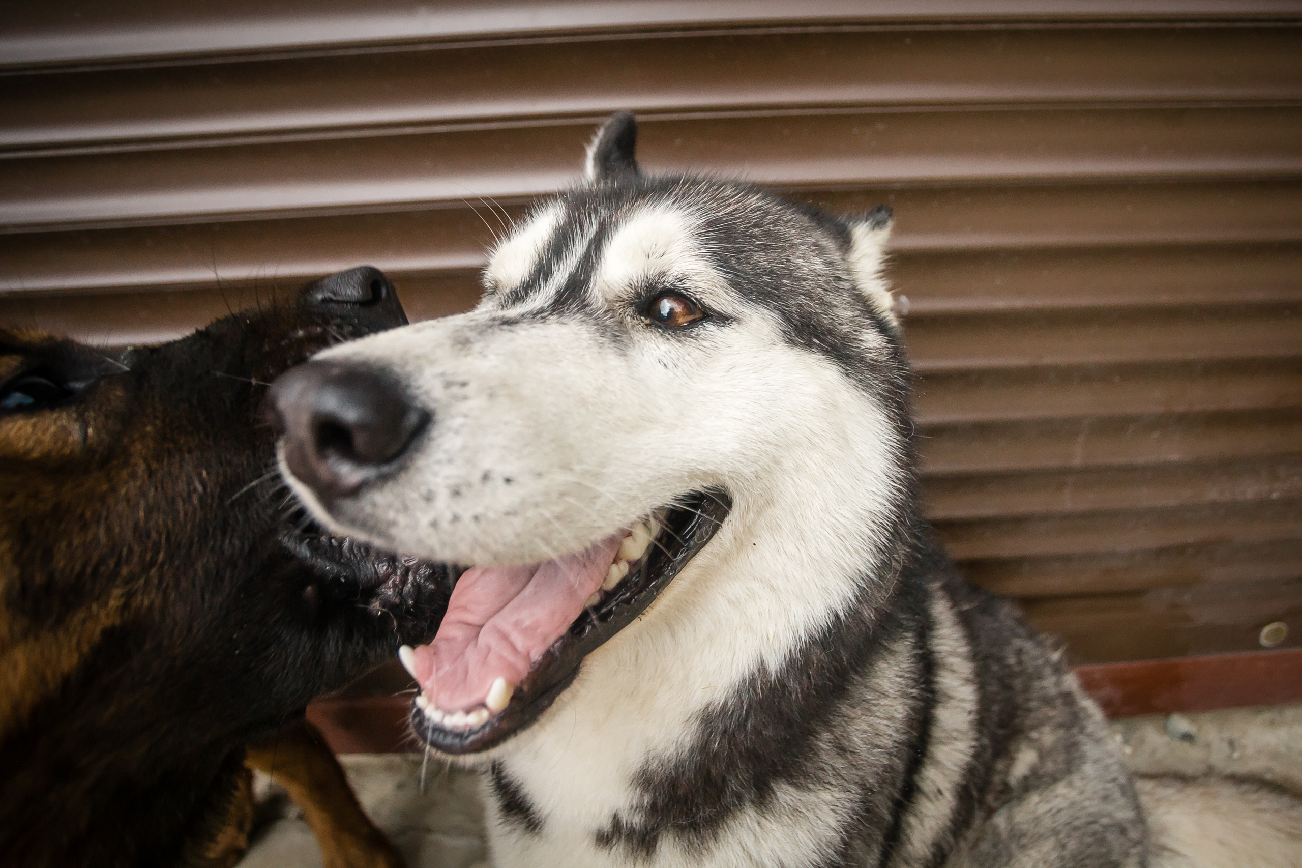 Джиппинг с Senseoflife.club. Фотографиня Мария Дикова