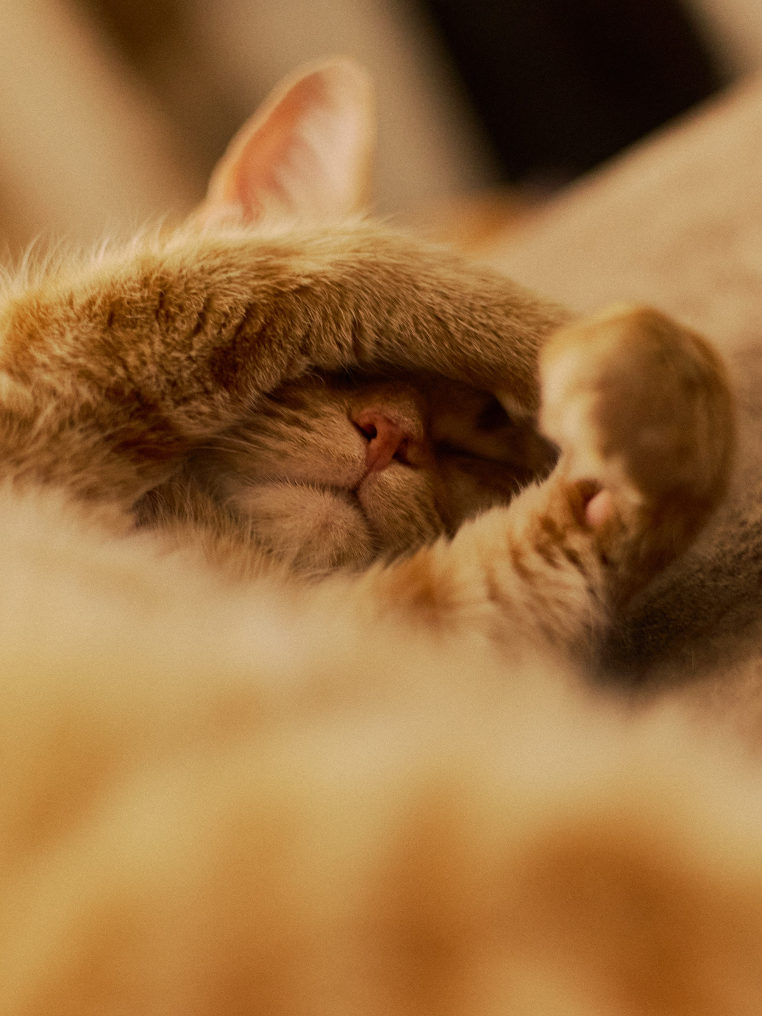 Диптих. Jorgis — фотограф в Хургаде / обучение фотографии