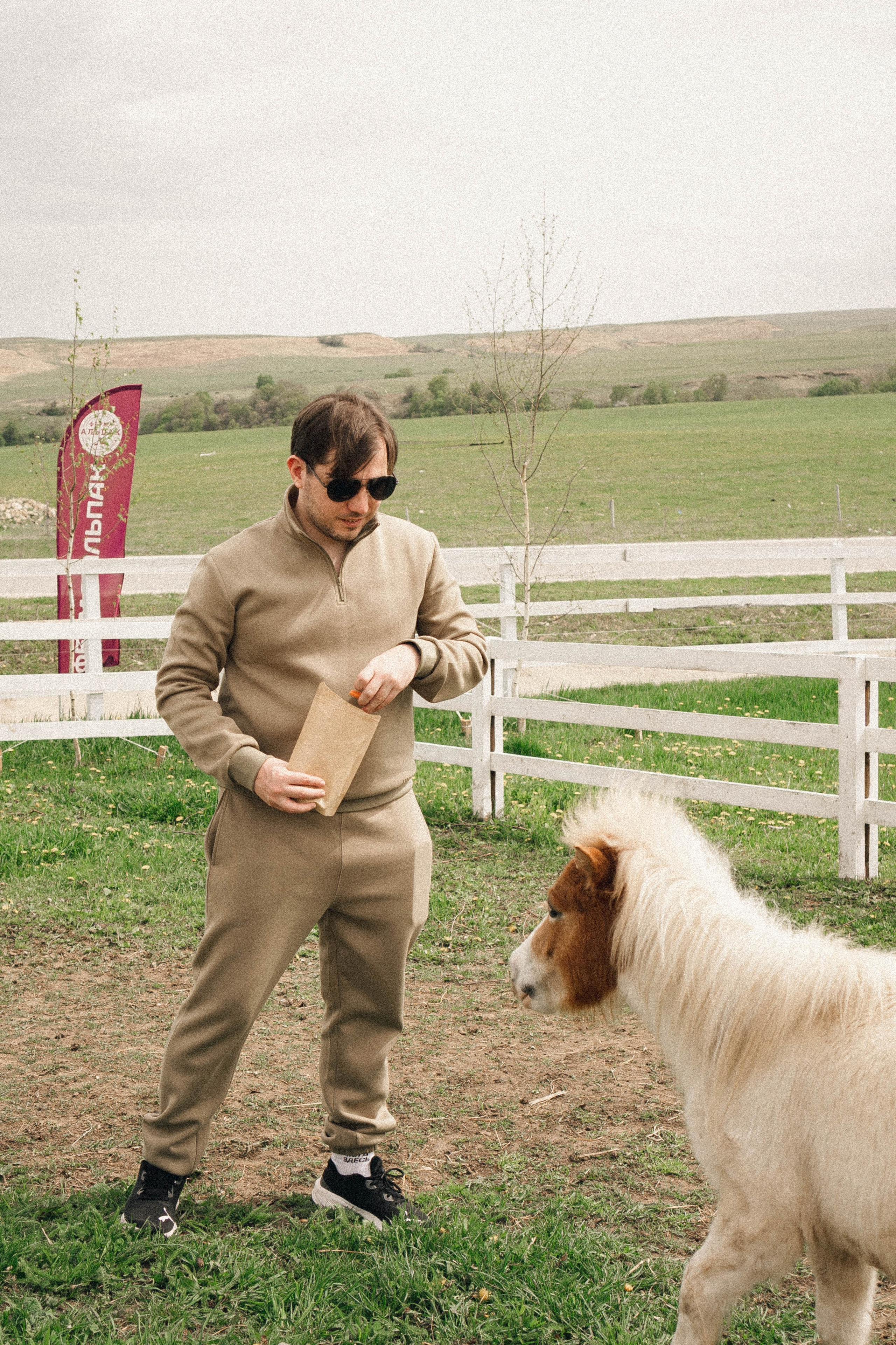 Ферма Альпак. Профессиональный фотограф, Санкт-Петербург — Виктория Богомолова