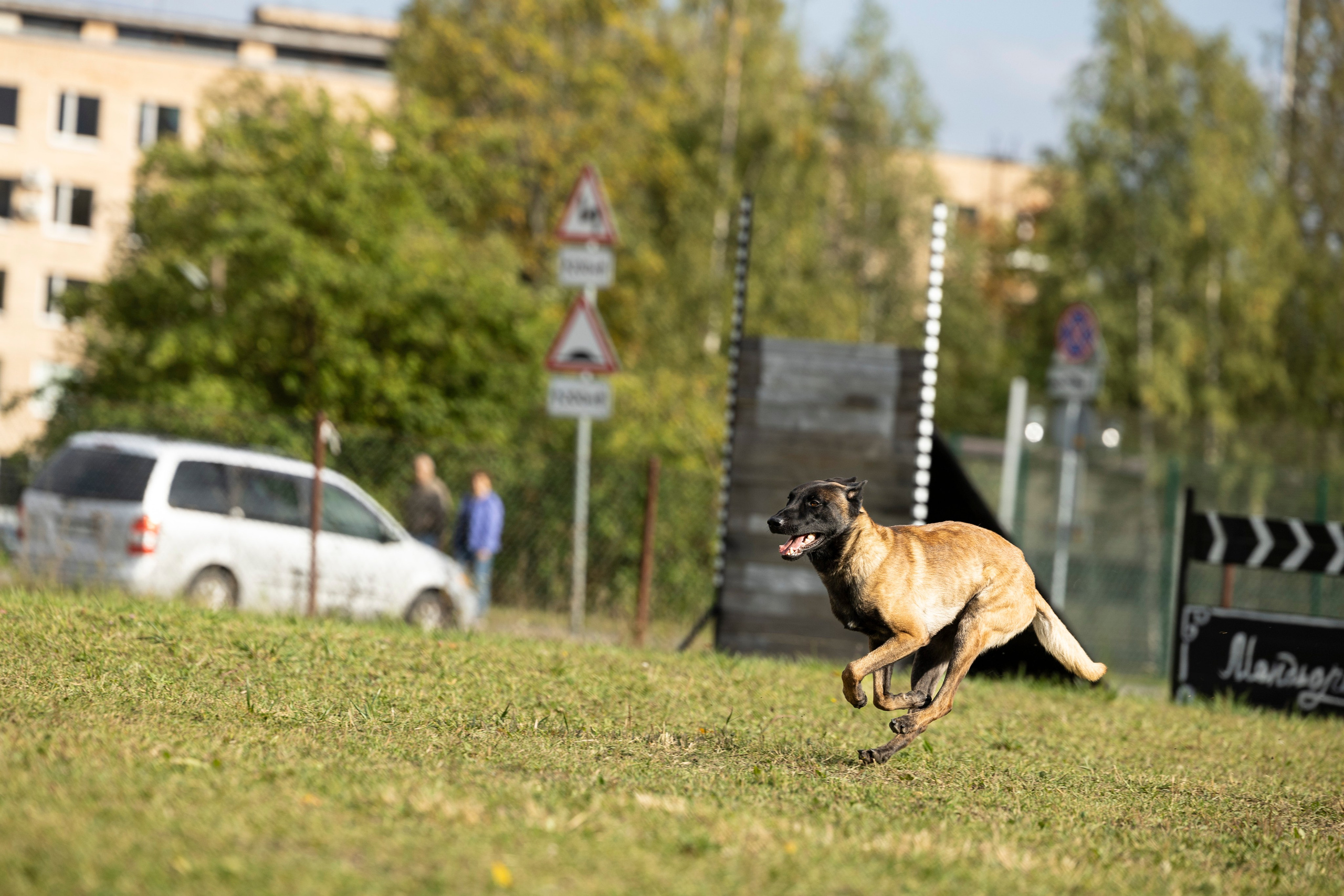 Испытания по Мондьорингу г. Пушкин. Фотограф-анималист Анна Маринич