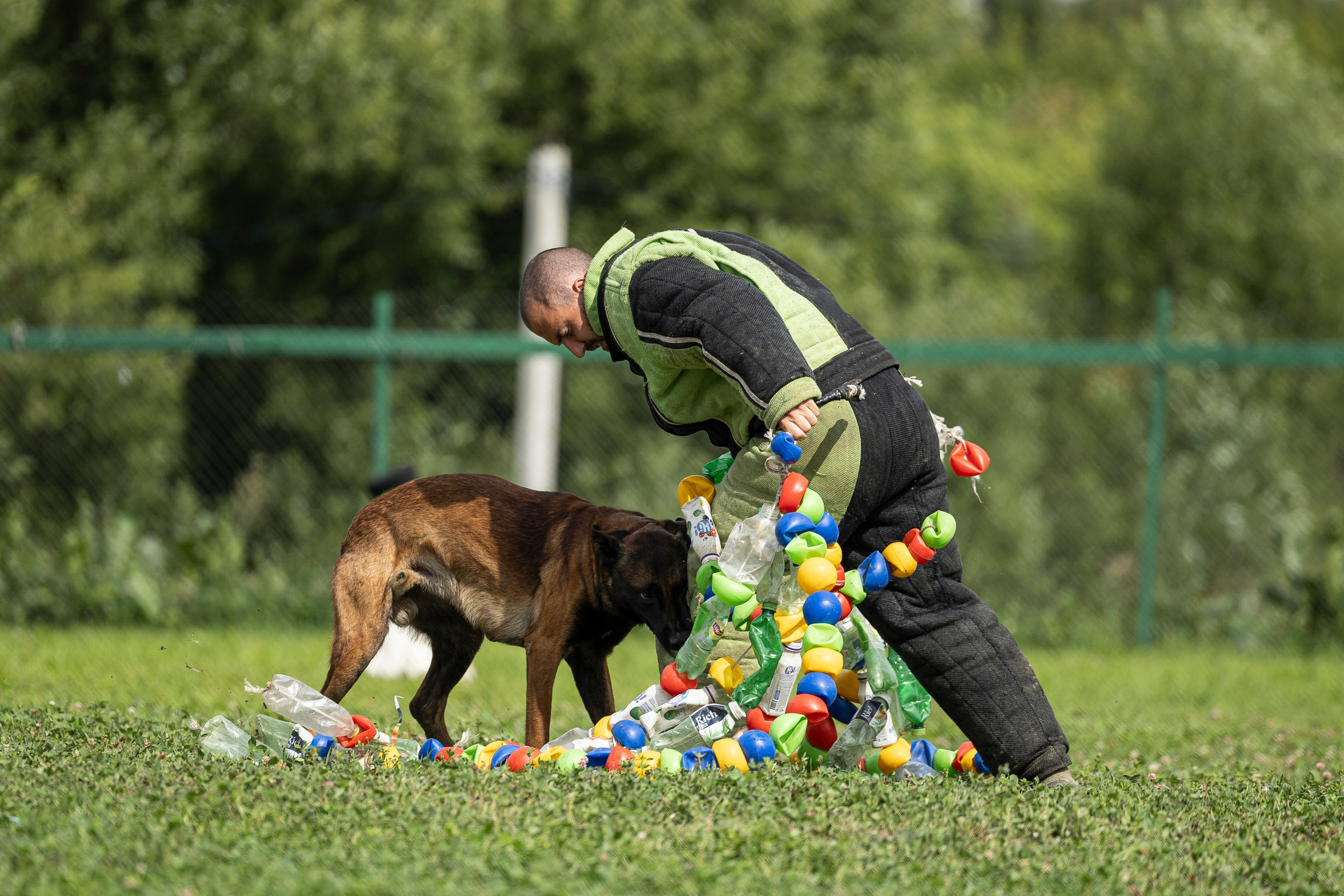 Соревнования по Мондьорингу г. Вологда 10-11.08.2024. Фотограф-анималист Анна Маринич