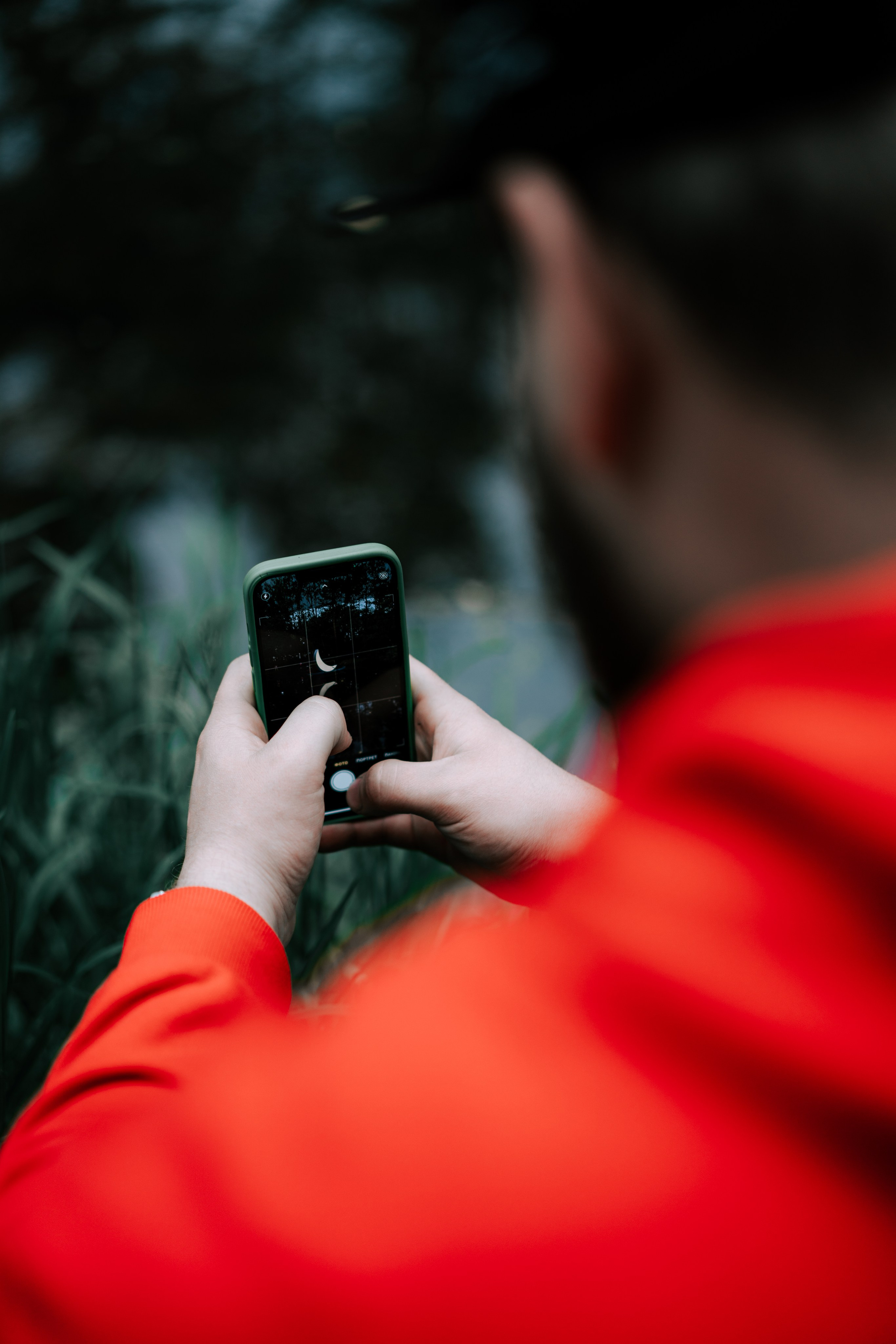 The fabulous forest of Malevich