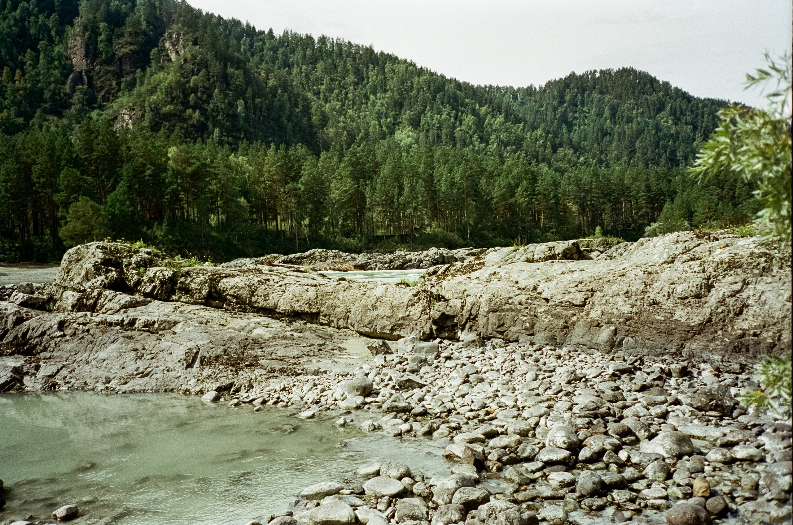 Кедровый остров, Катунь и скалы. Фотограф-документалист Мария Осокина