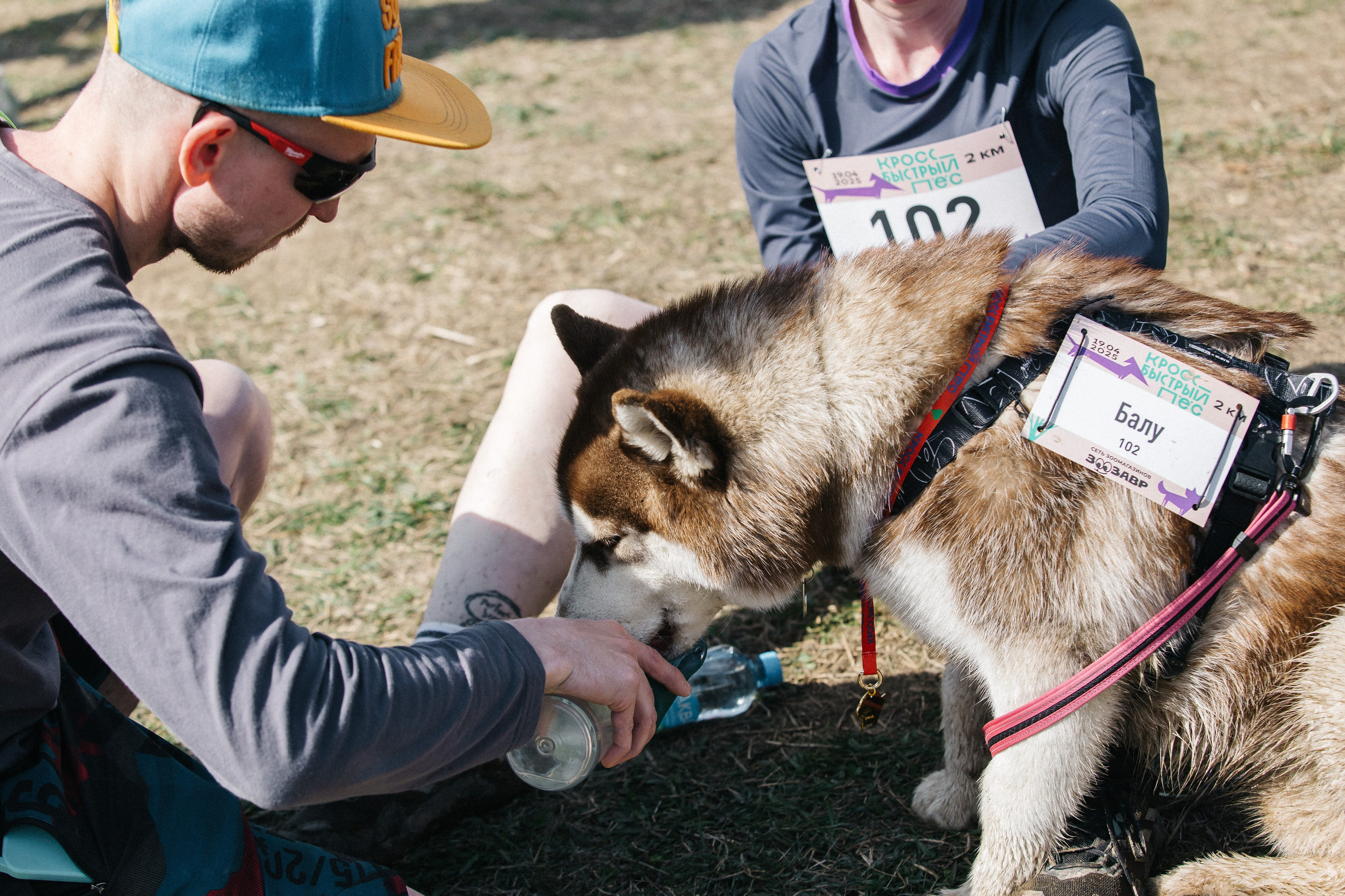 Кросс «Быстрый пёс» 2025. Репортажный фотограф в Москве
