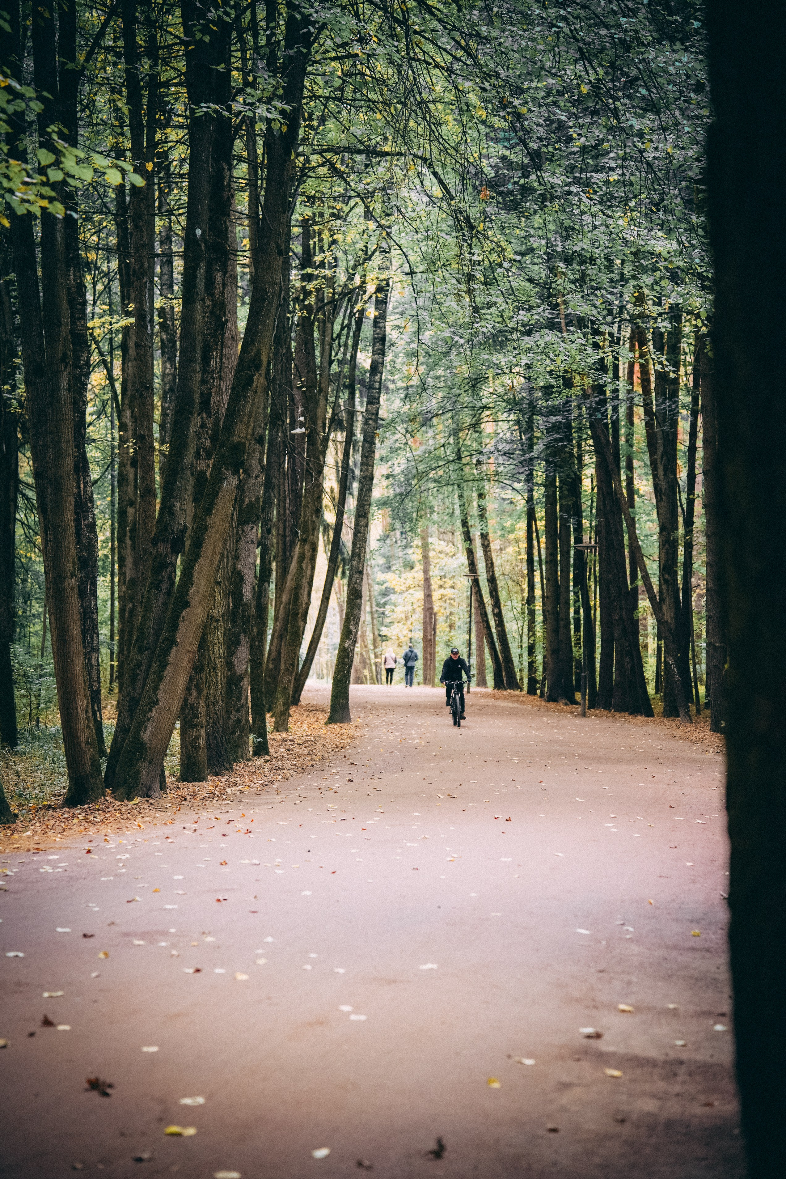 Осень 2025. Фотограф из Москвы — DASHA NOVA | Авторская фотография в разных жанрах