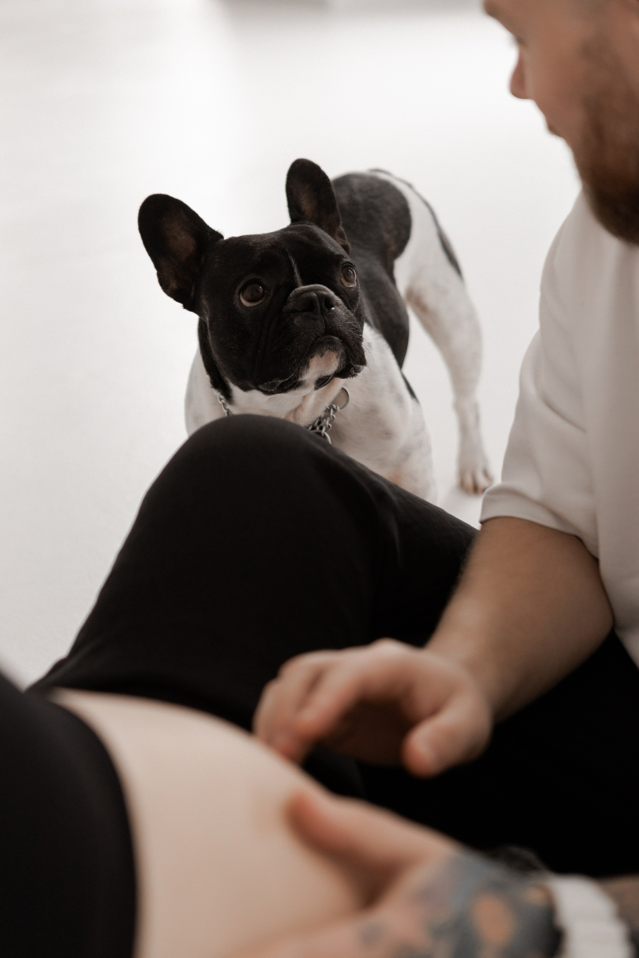 Таня, Паша и Луи. Свадебный фотограф в Воронеже Вероника Богай