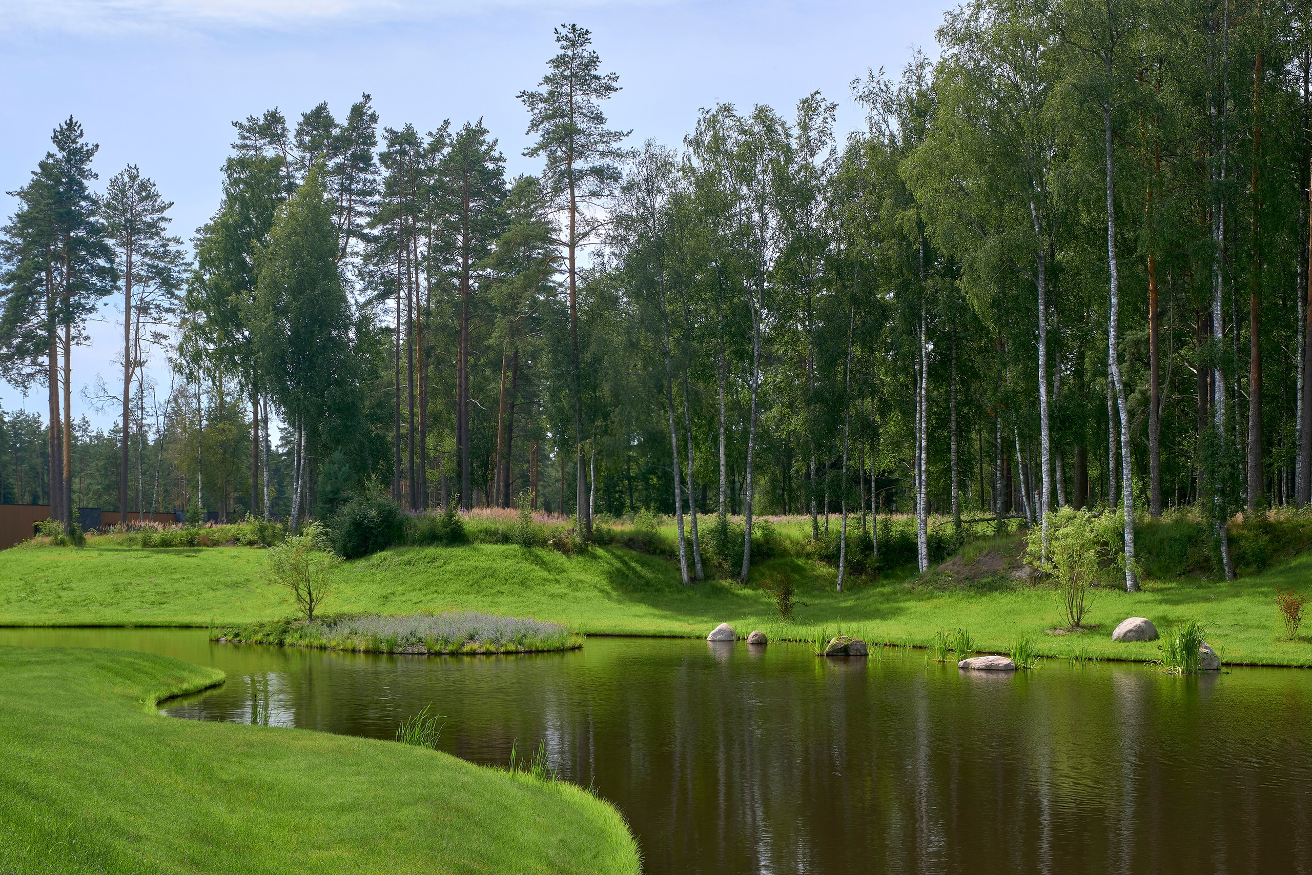 Ландшафтный и интерьерный фотограф Наталья Соловьева. Фотосъемка озеленения территории в КП Репинская Усадьба-4 для ландшафтной студии Аквилегия | interioto