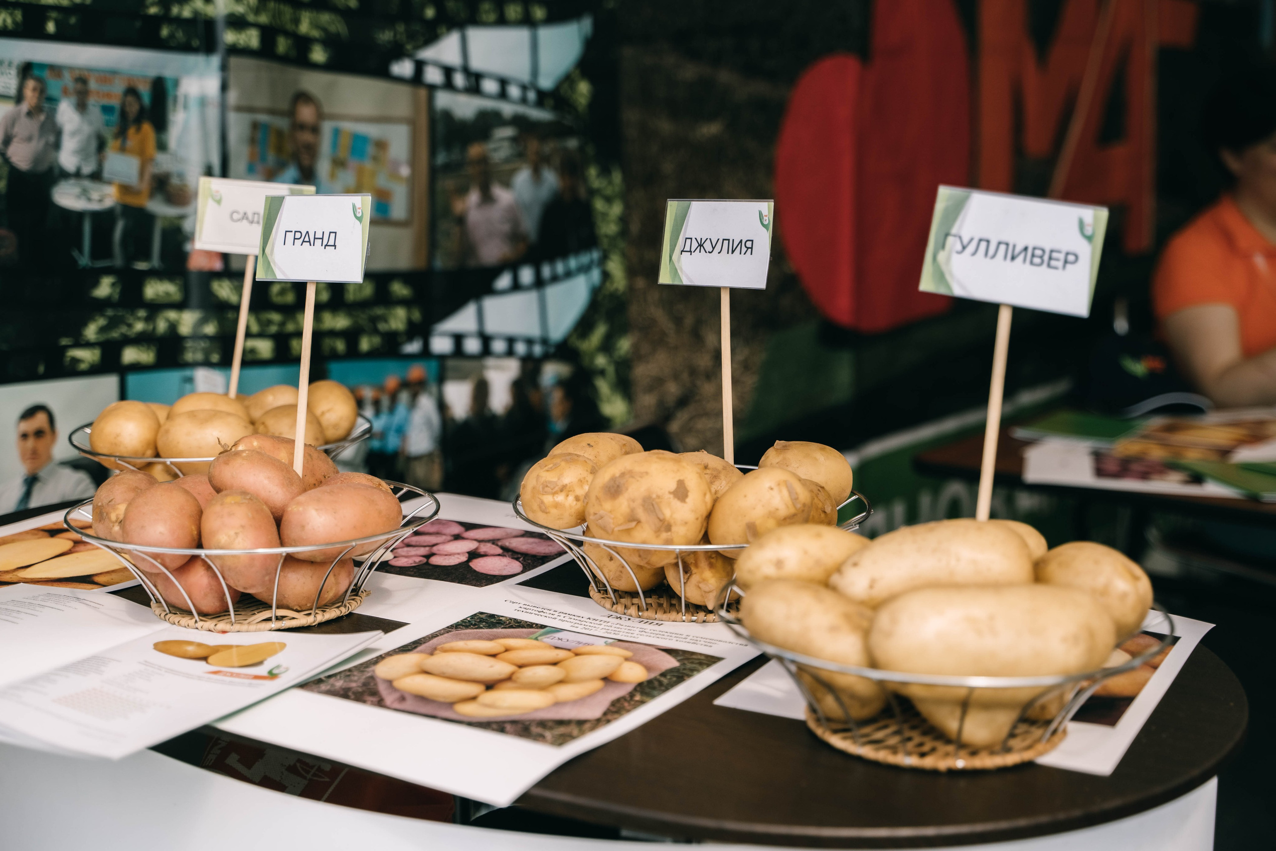 Фестиваль «Самарский день поля» в Угорье. Фотограф Сергей Логинов
