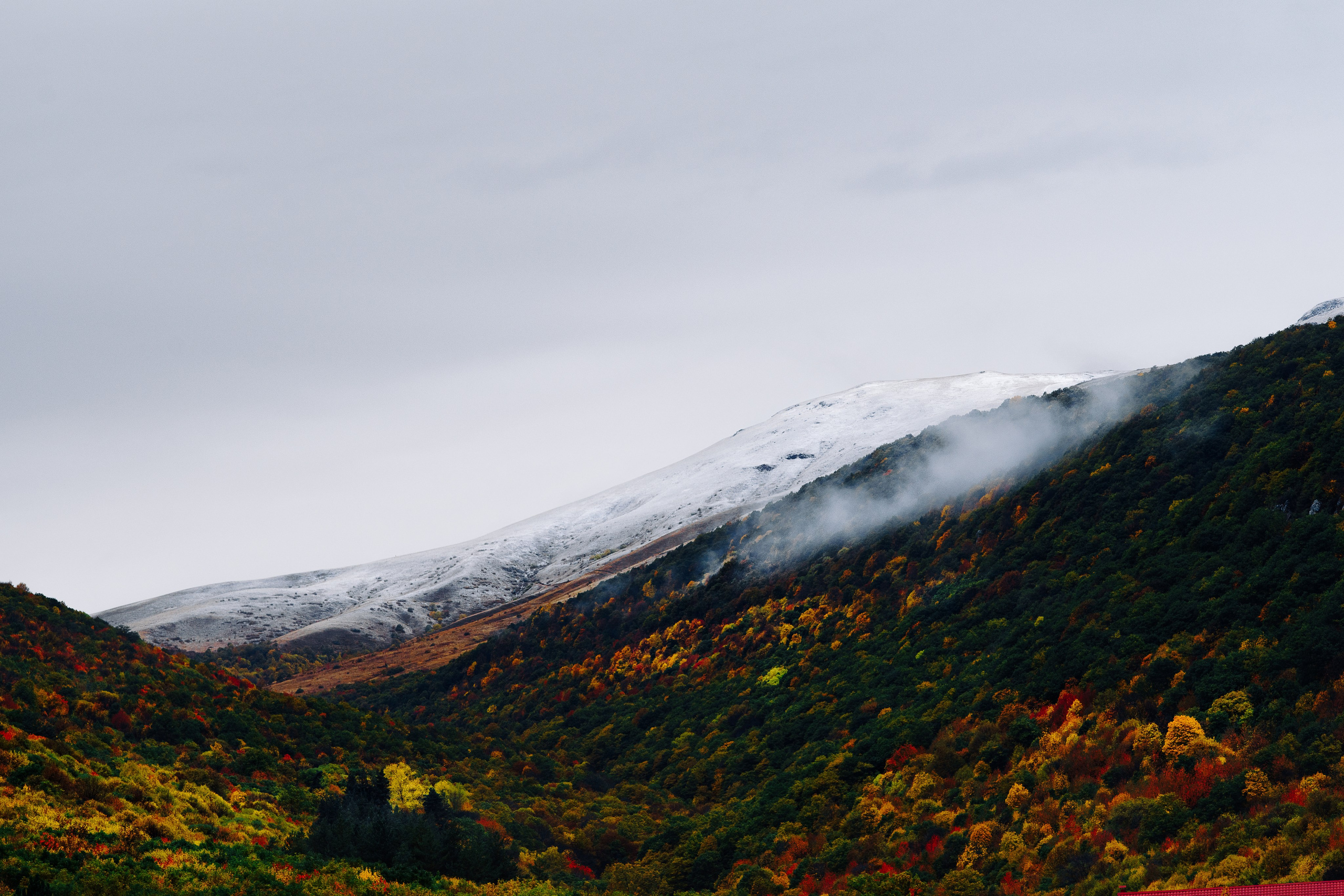 Landscapes. Oleg Kozachok — Photographer with Protanopia | Portraits, Texture & Light