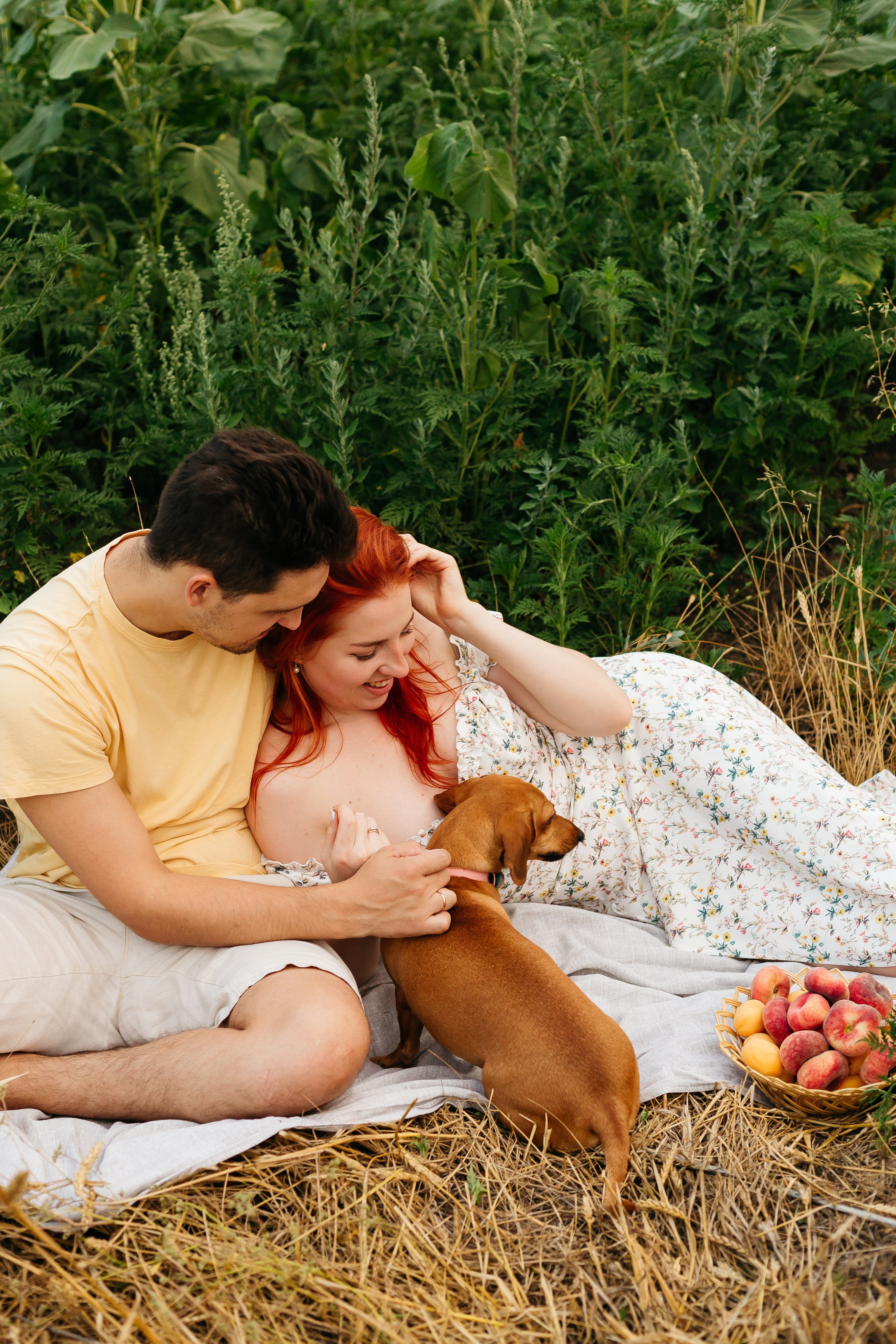 Подсолнухи. Свадебный и семейный фотограф в Краснодаре Илонна Ковалева