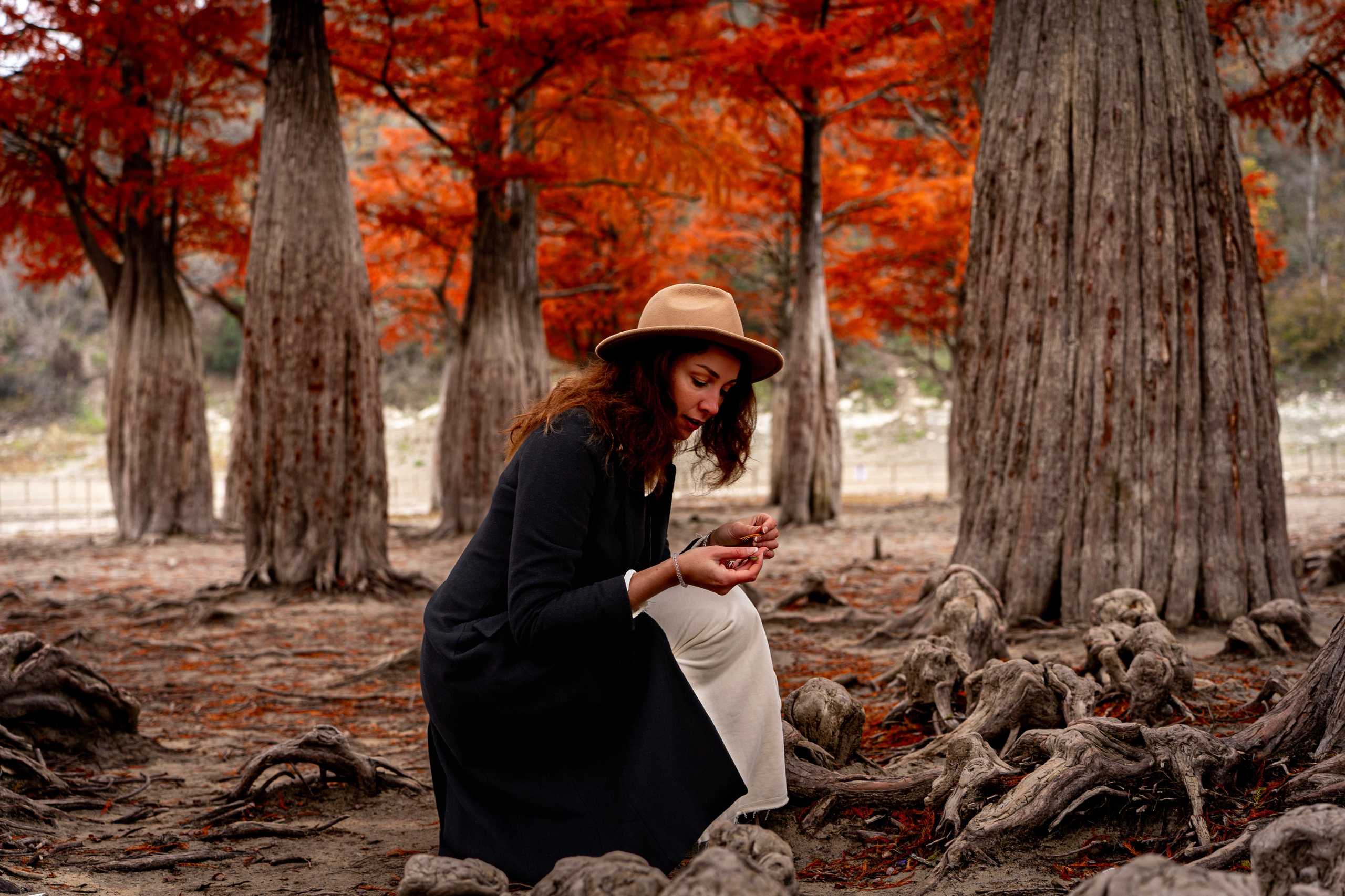 Осенняя фотосессия в Анапе — яркие кипарисы. Семейный и детский фотограф Екатерина Черняева. Снимаю портреты, love story, фотопрогулки, работаю на улице, в кафе, студии, дома у клиента
