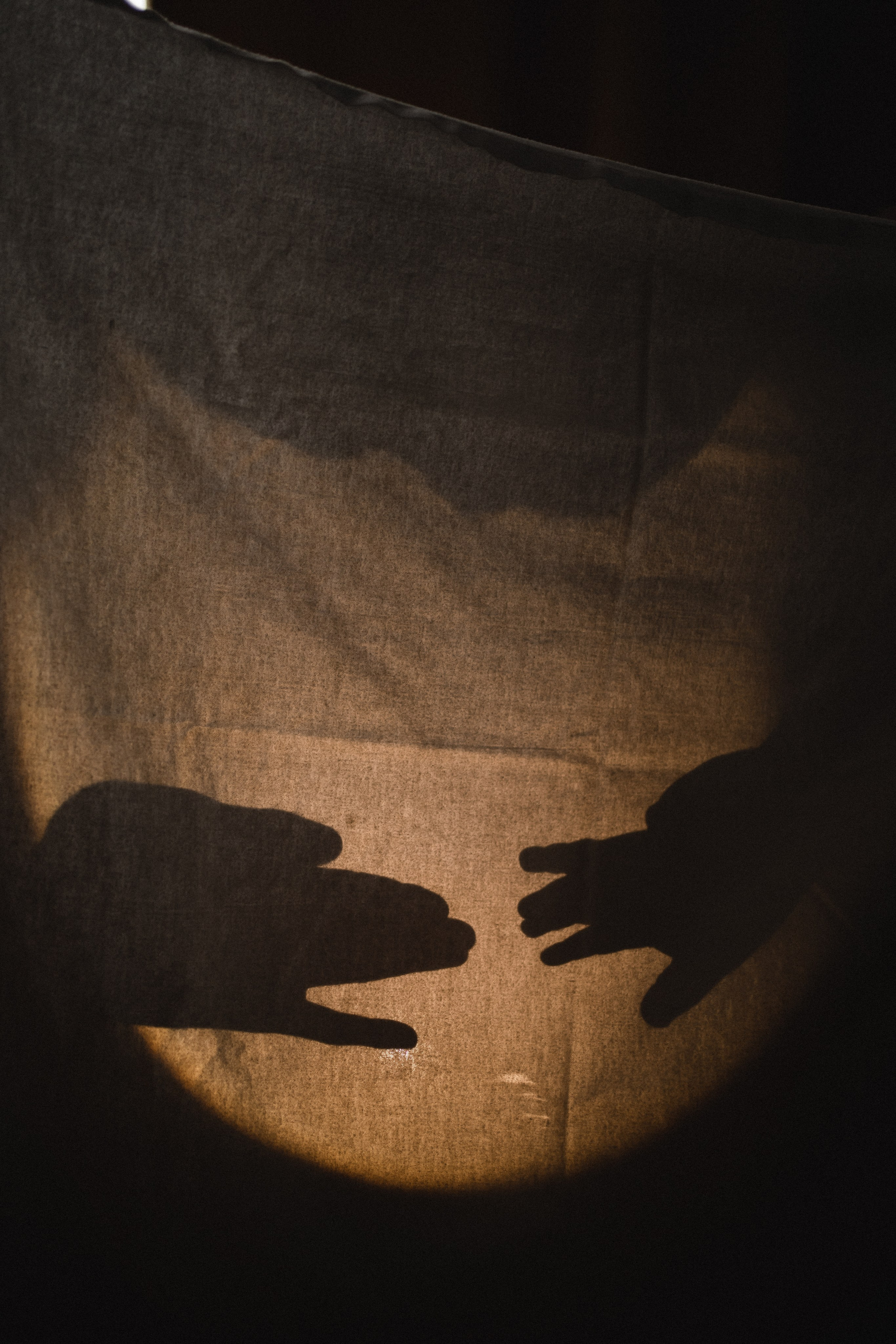 Семейная домашняя фотосессия в Домодедово. Семейный фотограф в Москве и в Домодедово Екатерина Патракова