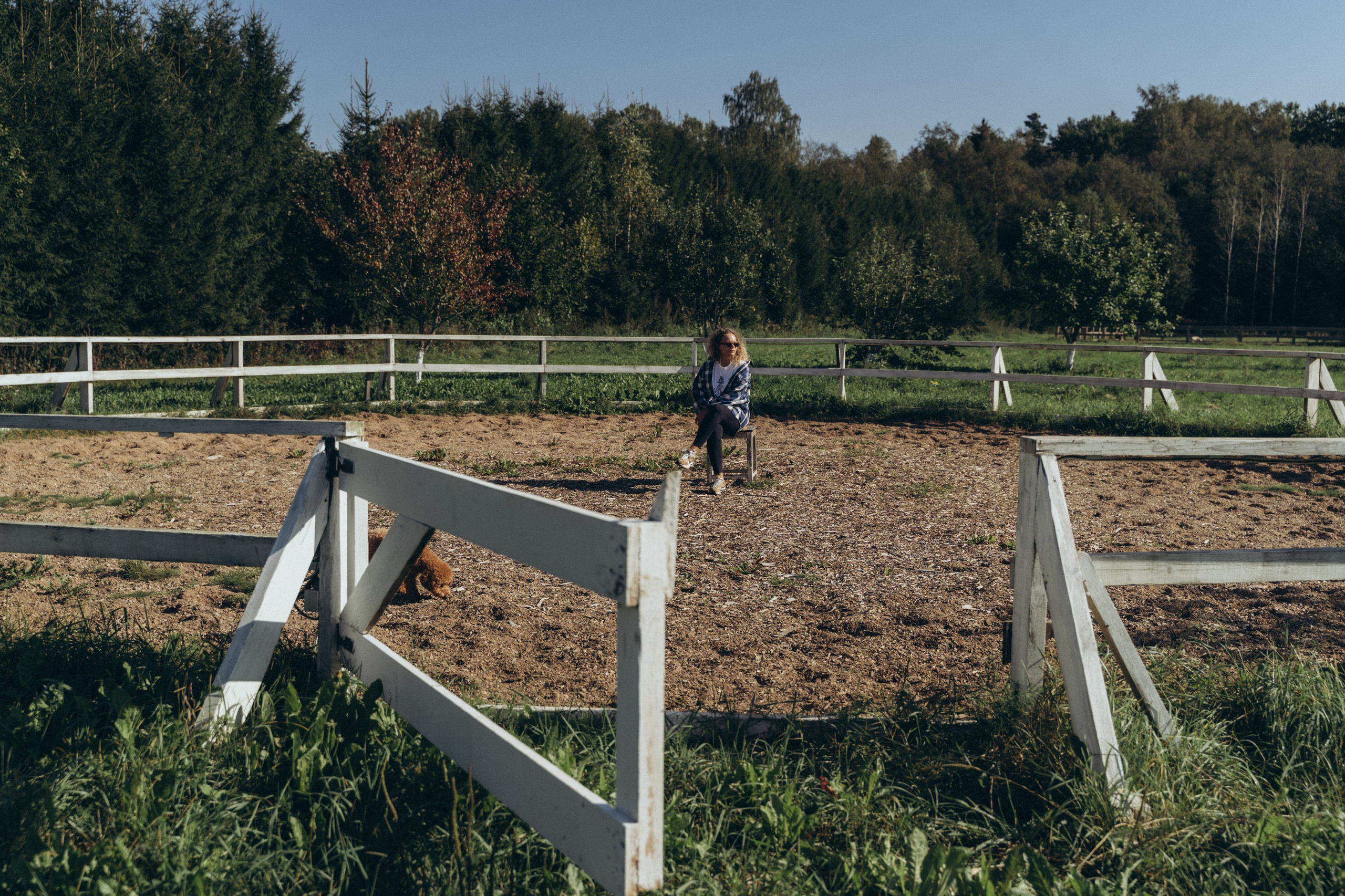 Даша. Главная