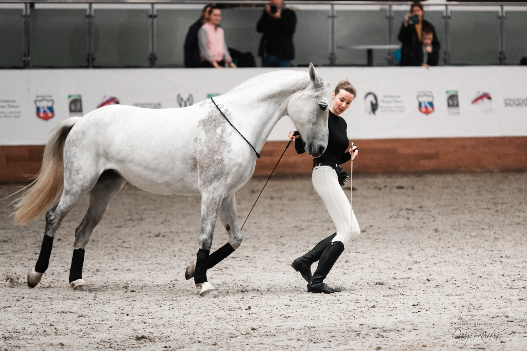 8-я международная выставка Конная Россия. Конный фотограф Куракина Дарья • Фотосессии с лошадьми