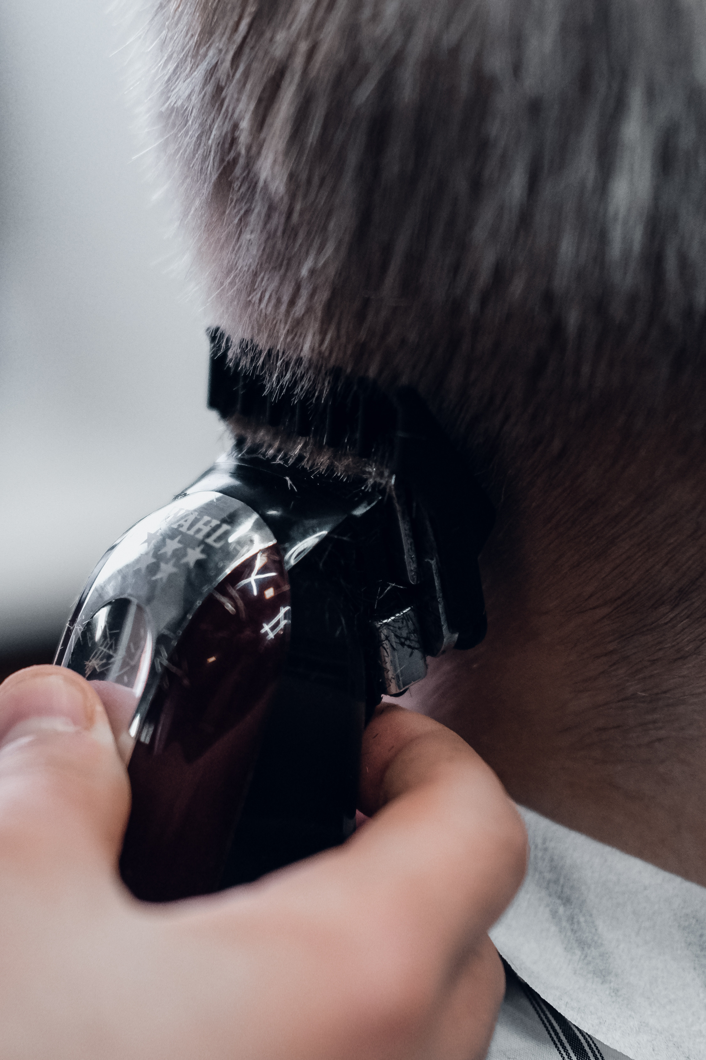 Bradobrey. Главная