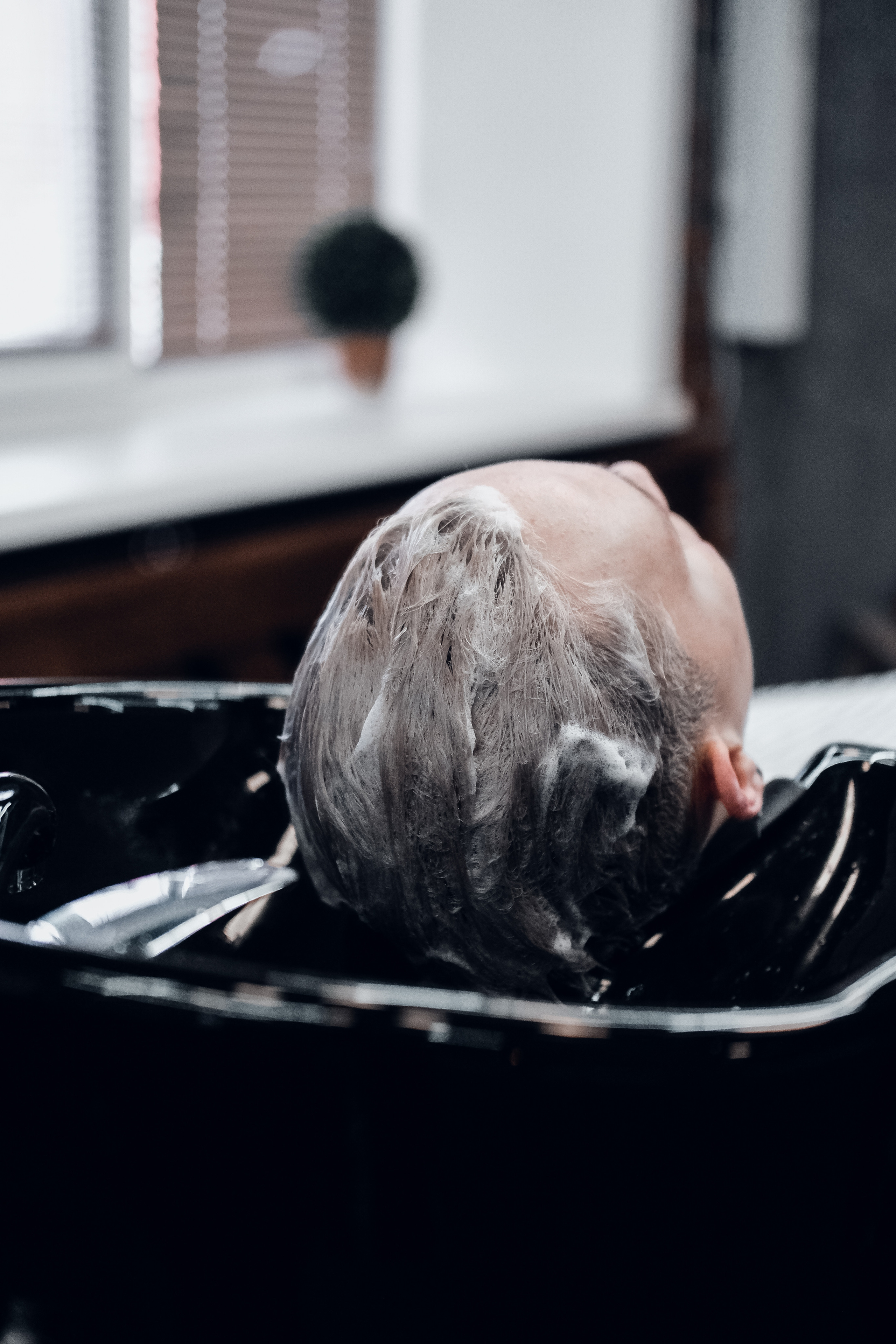 Bradobrey. Главная