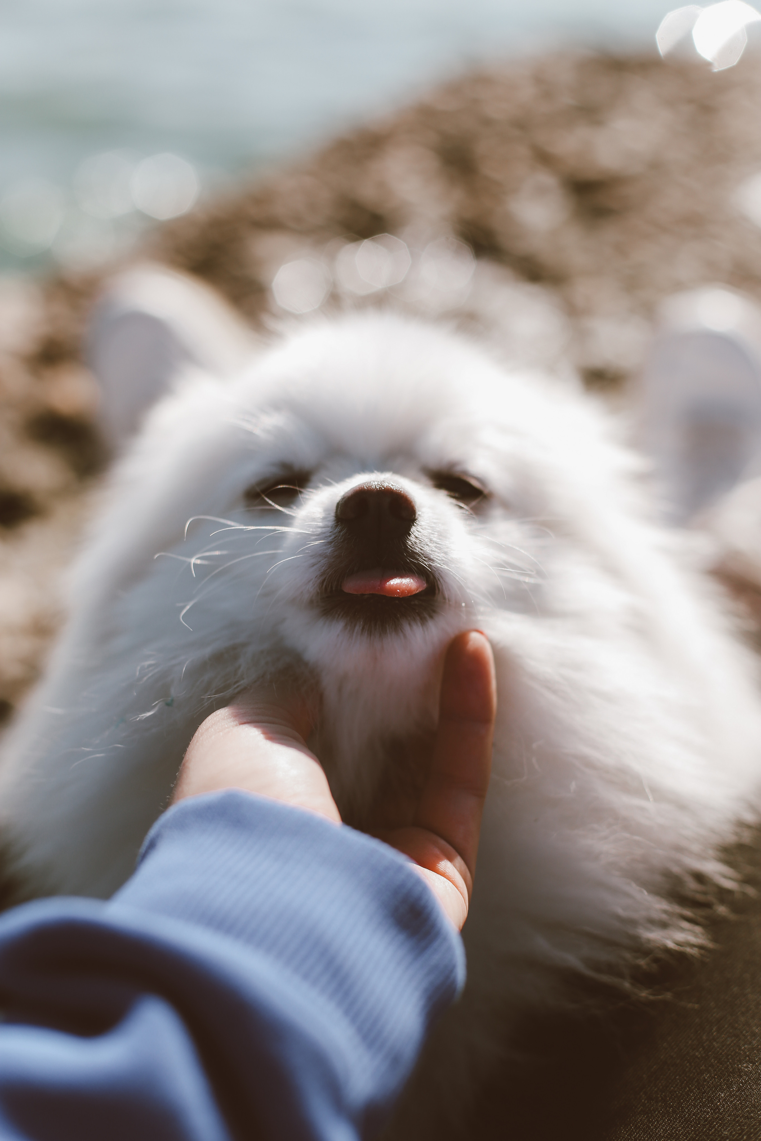 Таня — Сочи. Главная