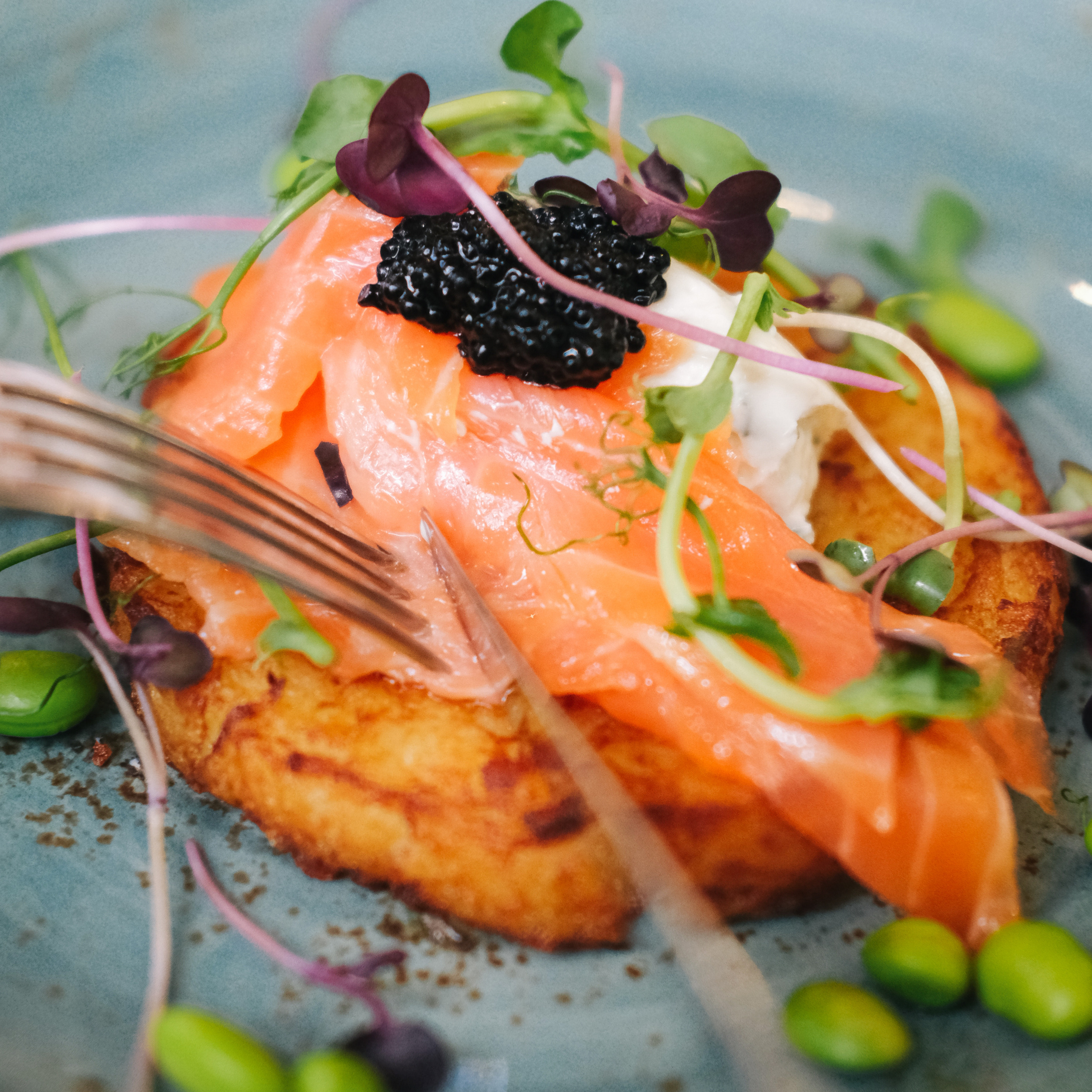 Udc Moscow. Главная