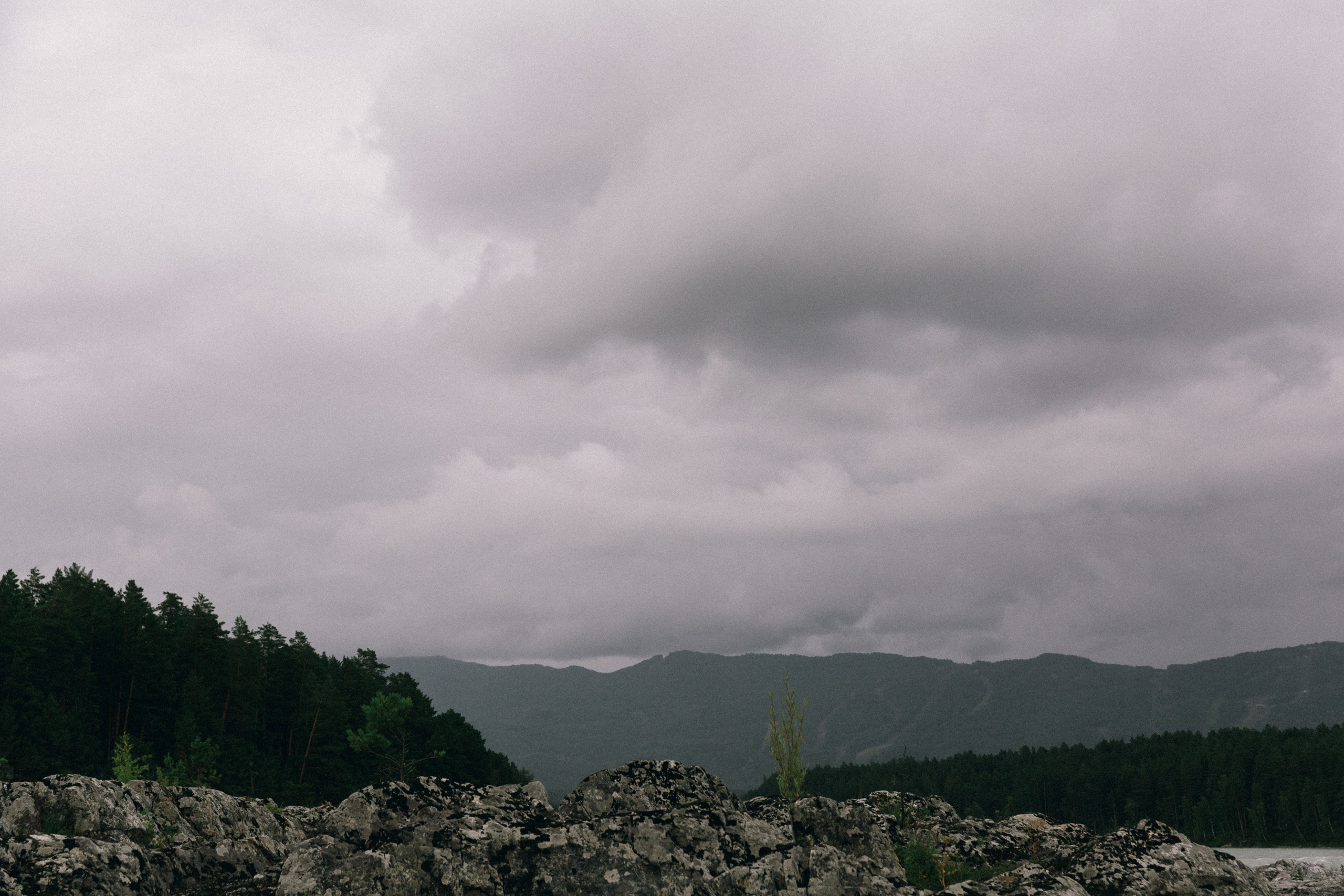 Алтай, природа и эстетика. Александр Чернин. Семейный и событийный фотограф