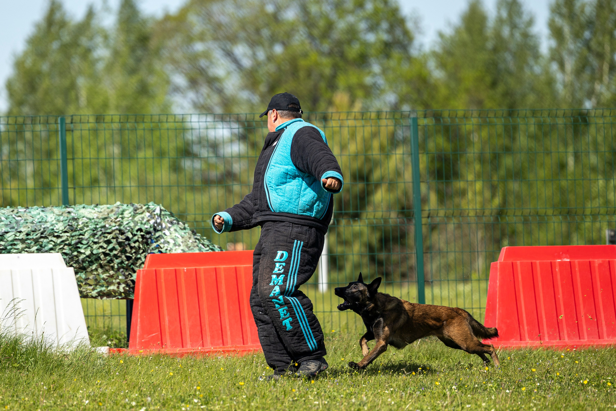 Испытания по мондьорингу в Нижнем Новгороде. Фотограф-анималист Анна Маринич