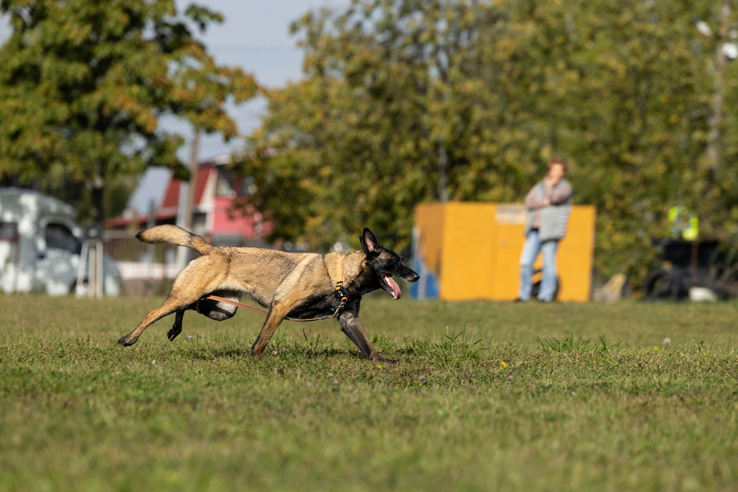 Испытания по Мондьорингу г. Пушкин. Фотограф-анималист Анна Маринич