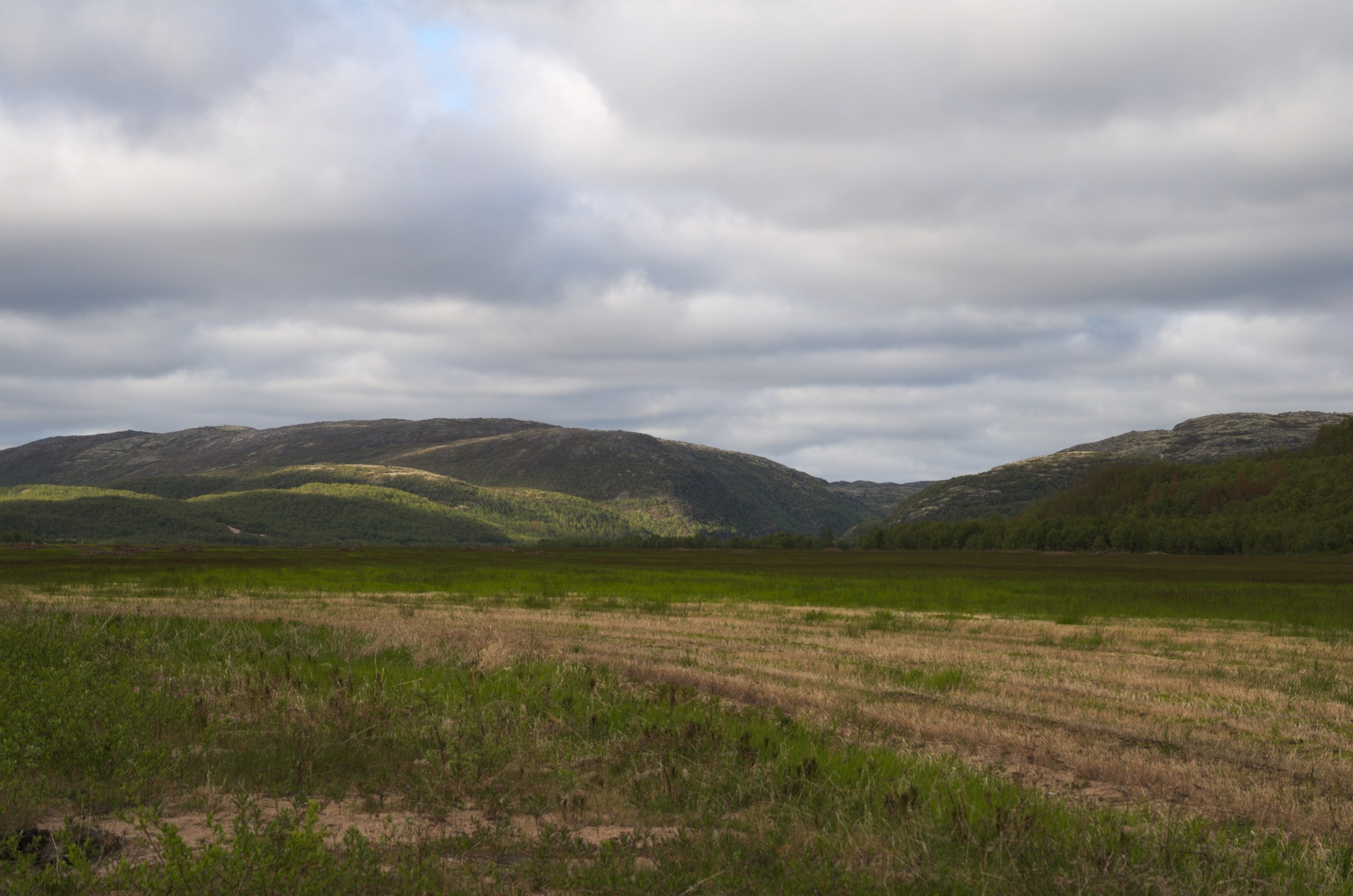 Мурманск | 22-23.06.2019. Галерея Фантим